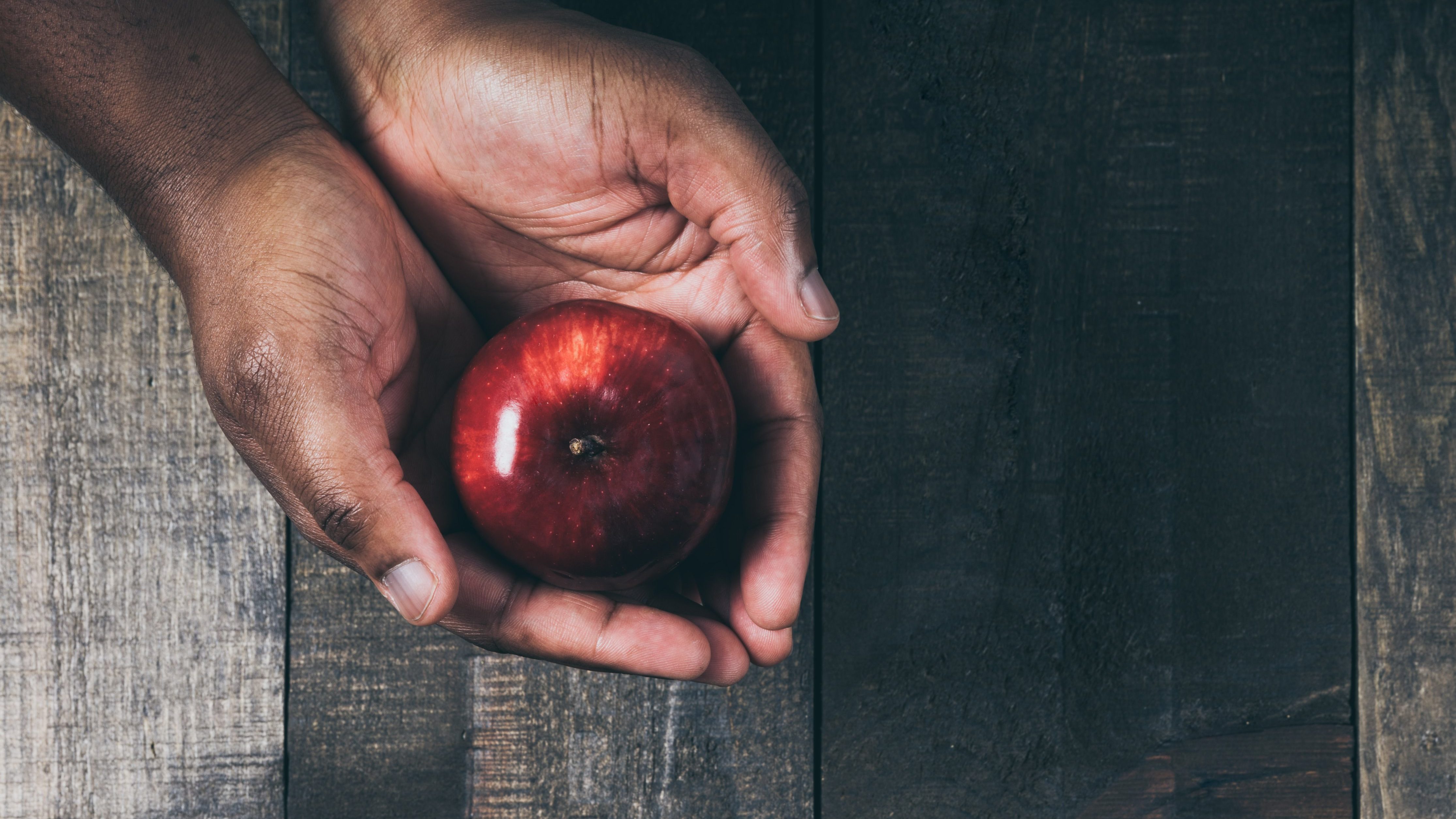 Red apple in hand nicole de khors