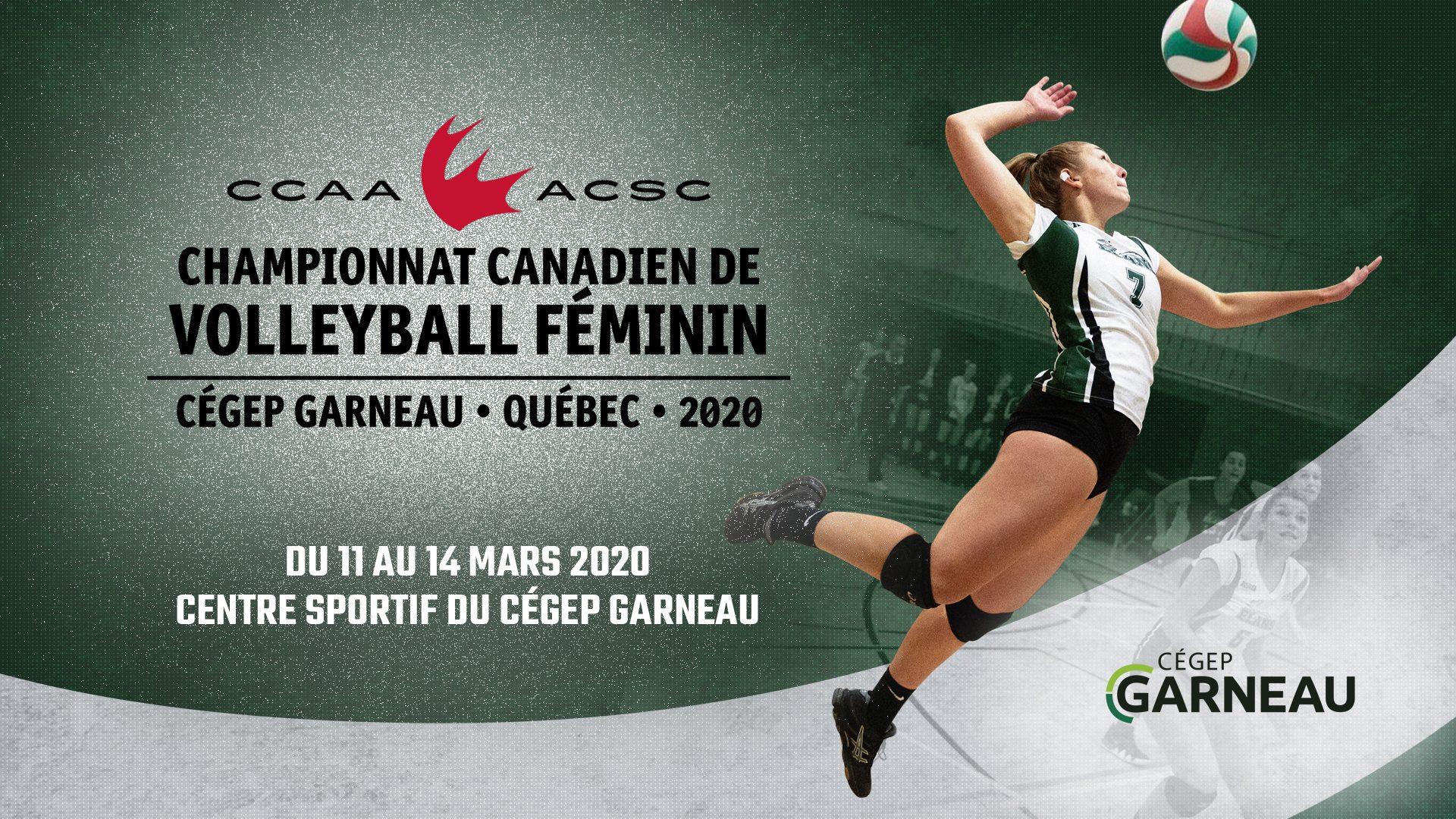 Ecran championnatvolleyball 1