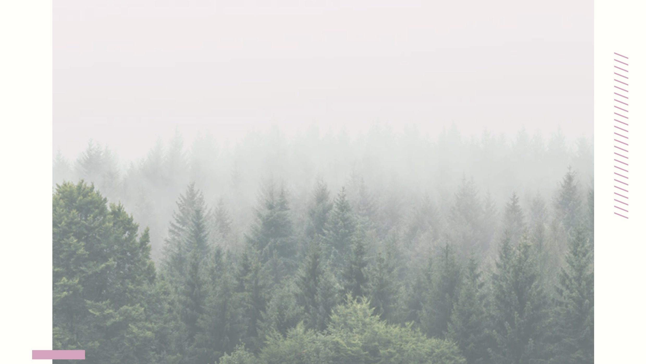 Poster affiche noir et blanc sur fond bicolore blanc et rose