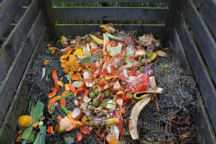 Green waste 513609 1920