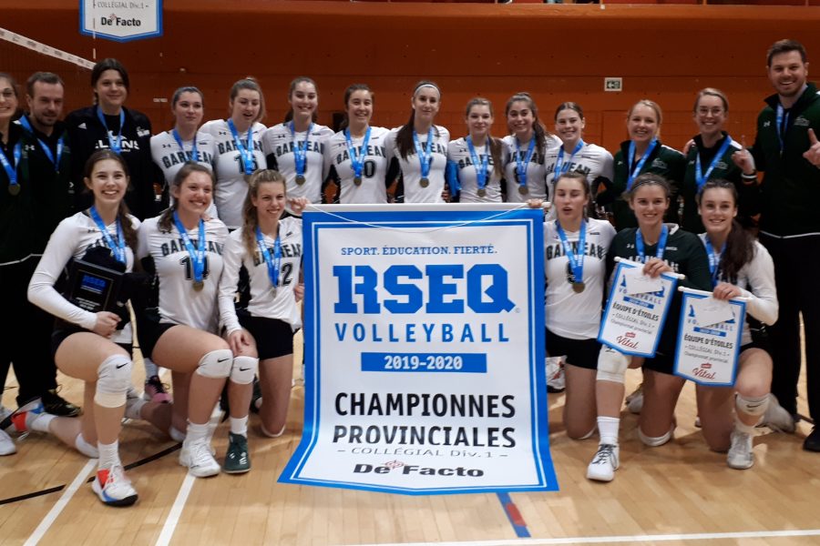Volley cham pro