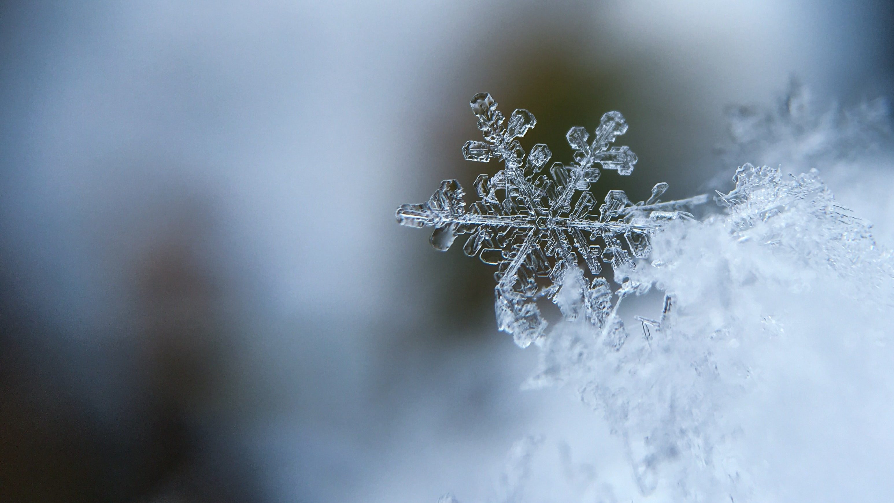 Aaron burden 5 Ai Wn2 U10cw unsplash