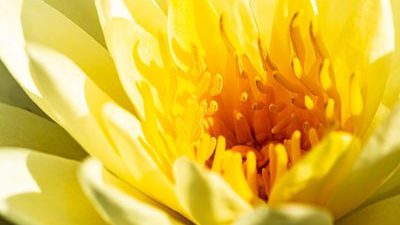 Photo 1597585945902 7c4c5f35dd68