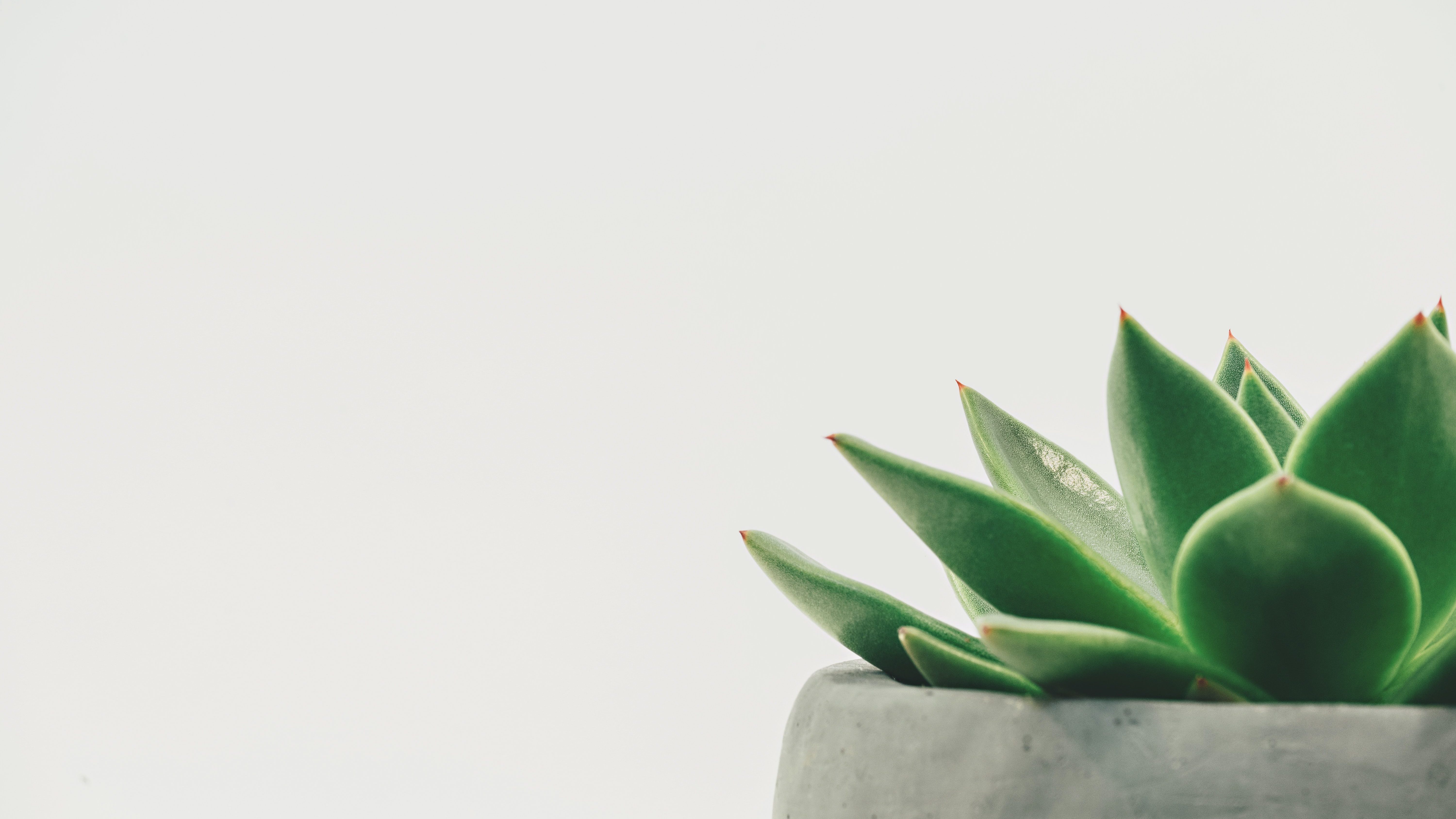 Photo 1483794344563 d27a8d18014e