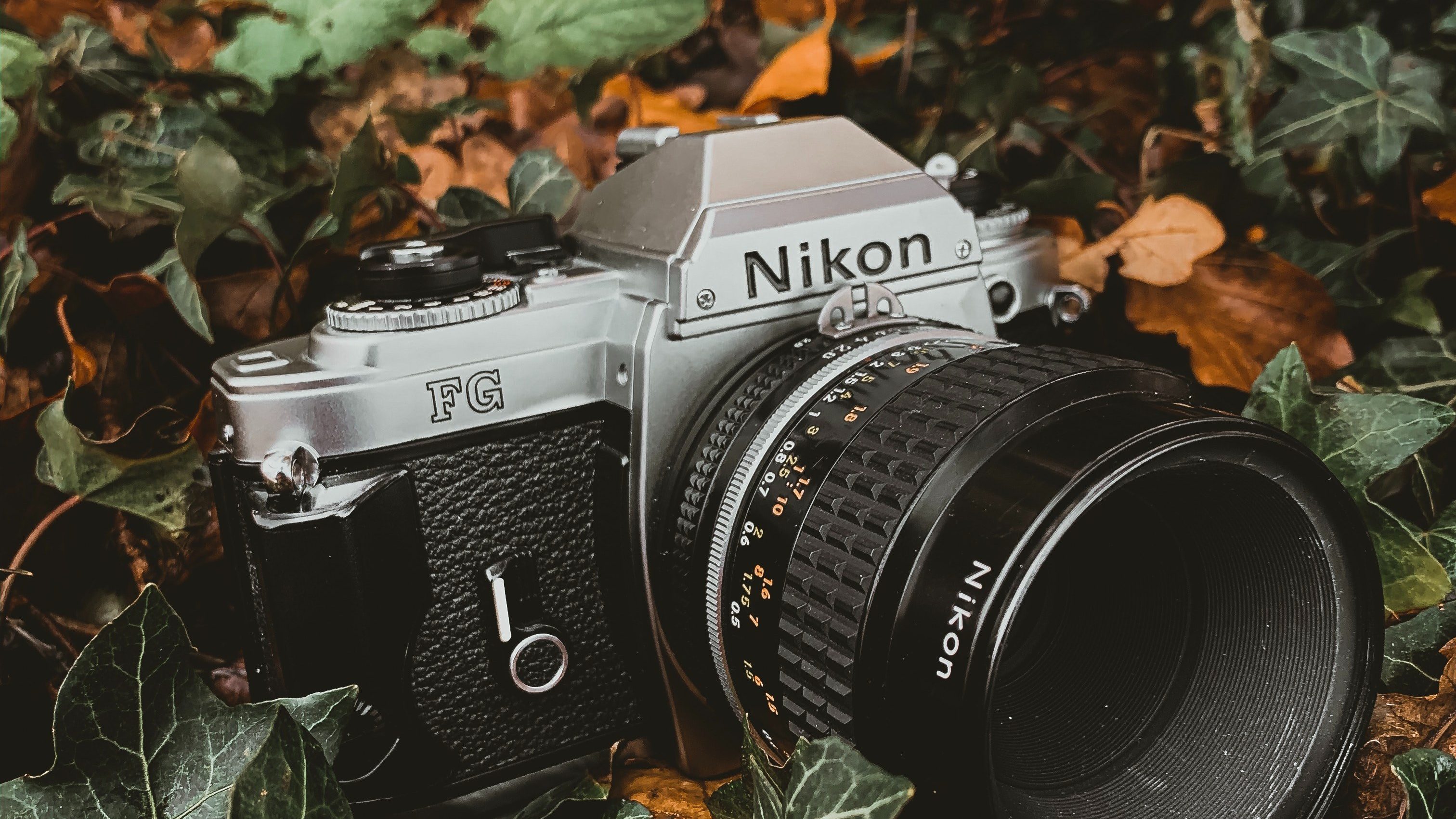 Photo 1574203094671 b113df40ee83