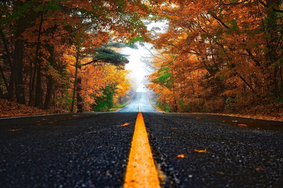Autumn 1758194 1920