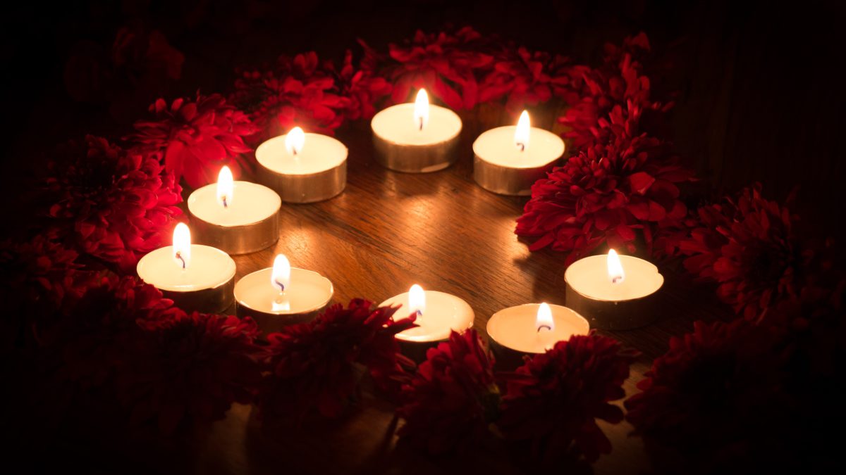 Soroush zargar 7h54 AQ7 E3 RY unsplash