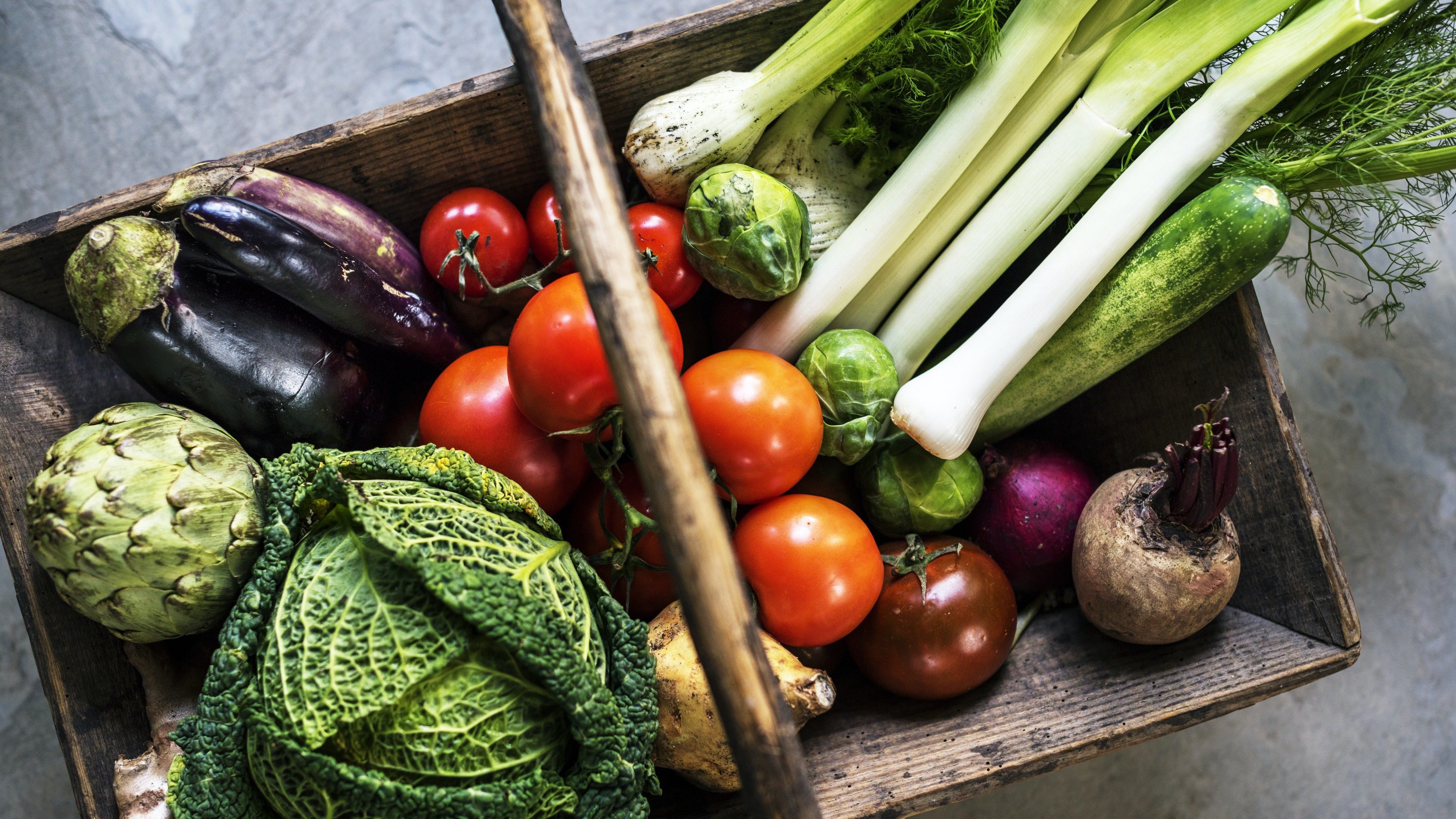 Image from rawpixel id 104664 jpeg