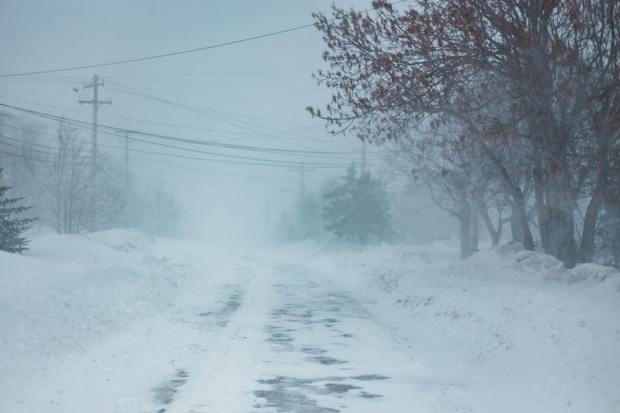 Blizzard Iqkfn-Scale