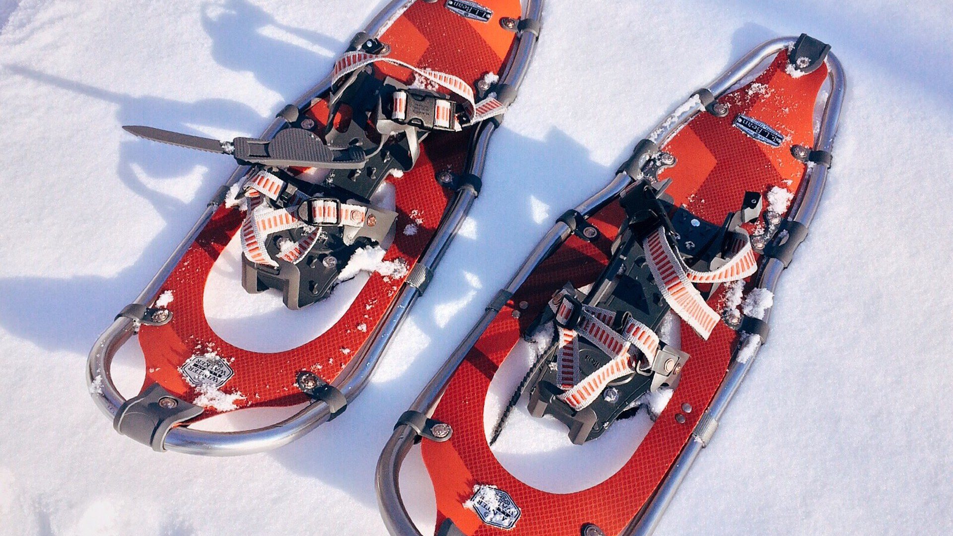 Snowshoe 1983133 1920