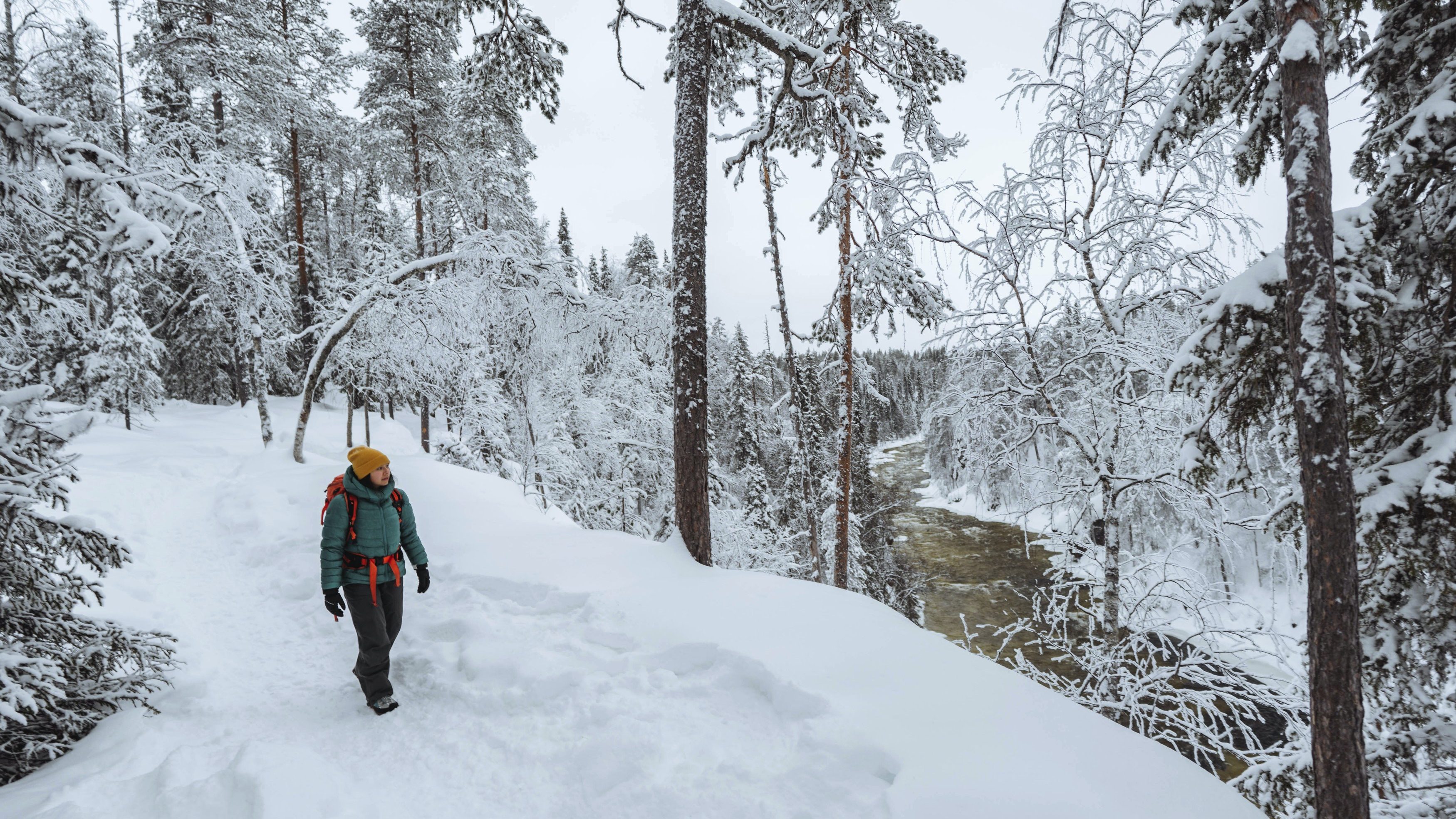 Image from rawpixel id 2261807 jpeg