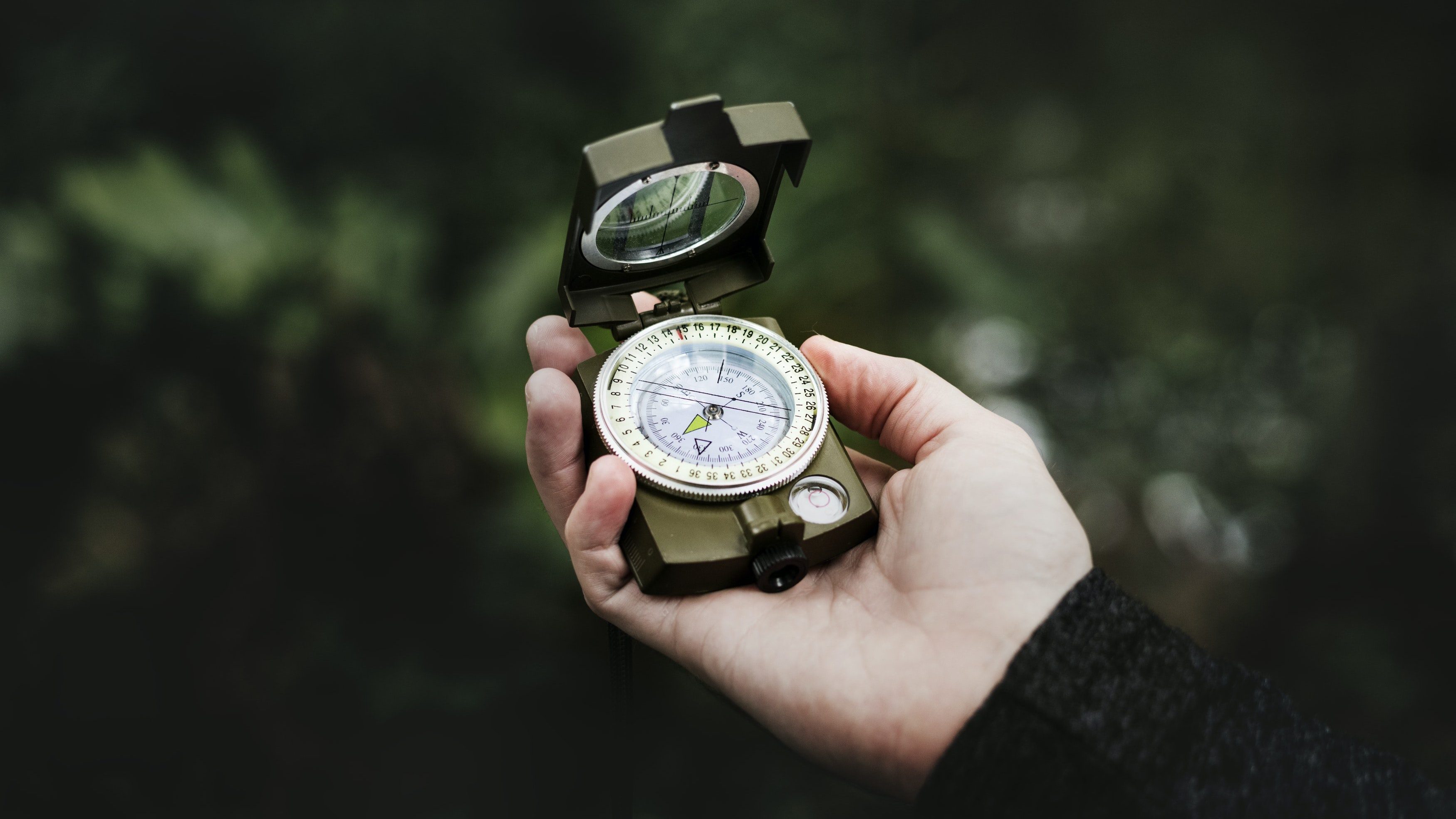 Image from rawpixel id 387798 jpeg