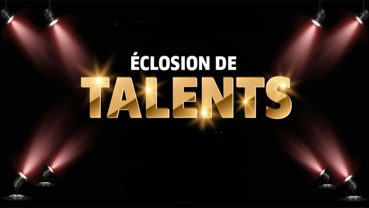 Éclosion de talents flash