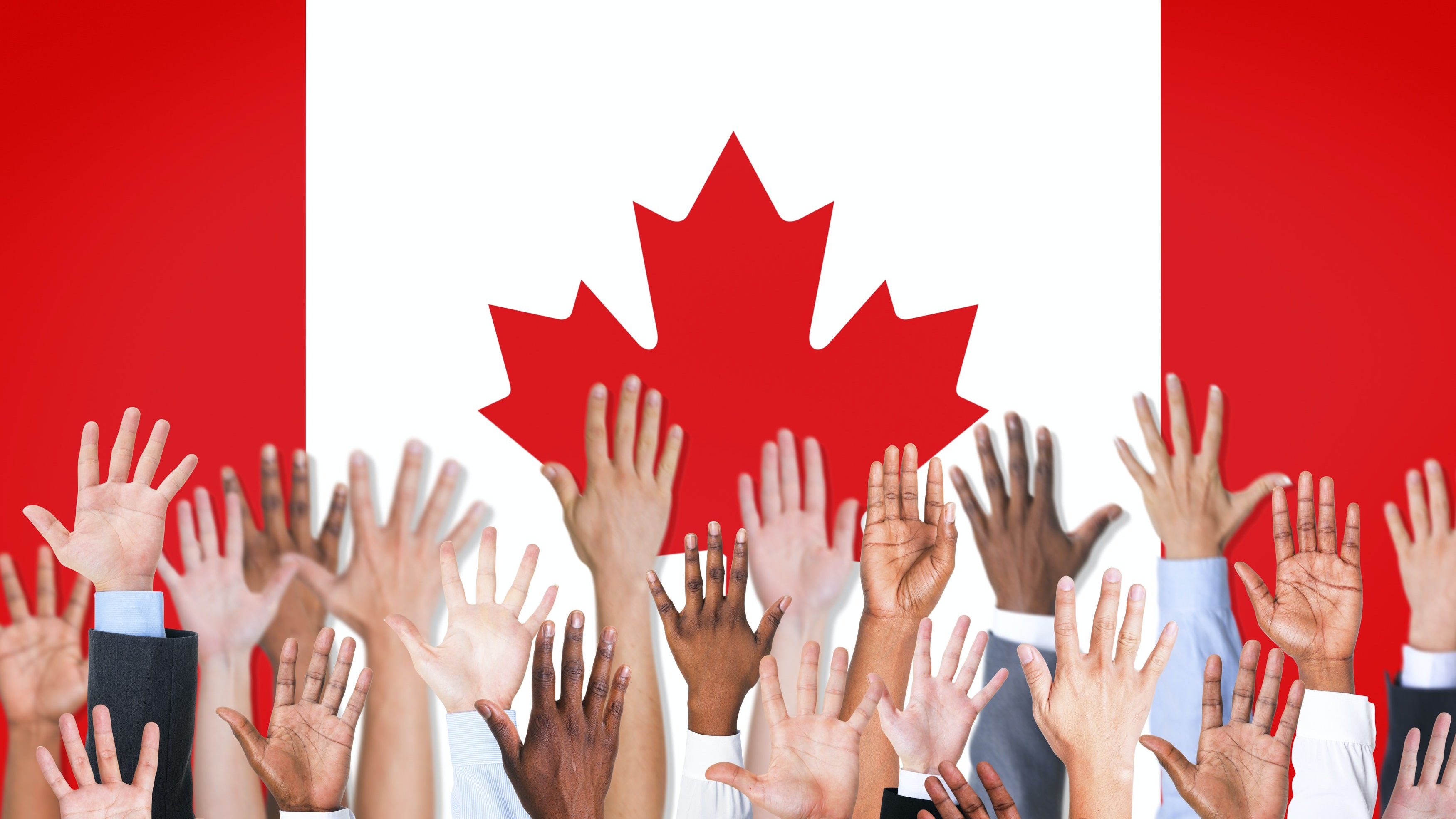 Image from rawpixel id 646646 jpeg