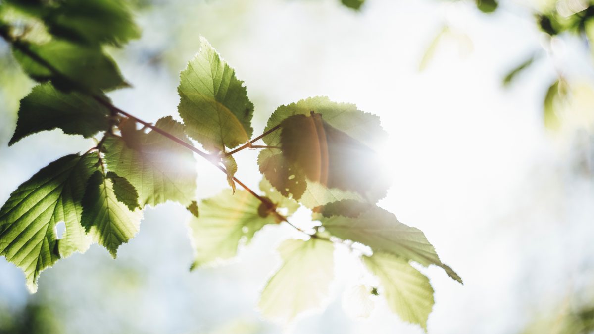 Markus spiske 6 MB j Bwte Ig unsplash