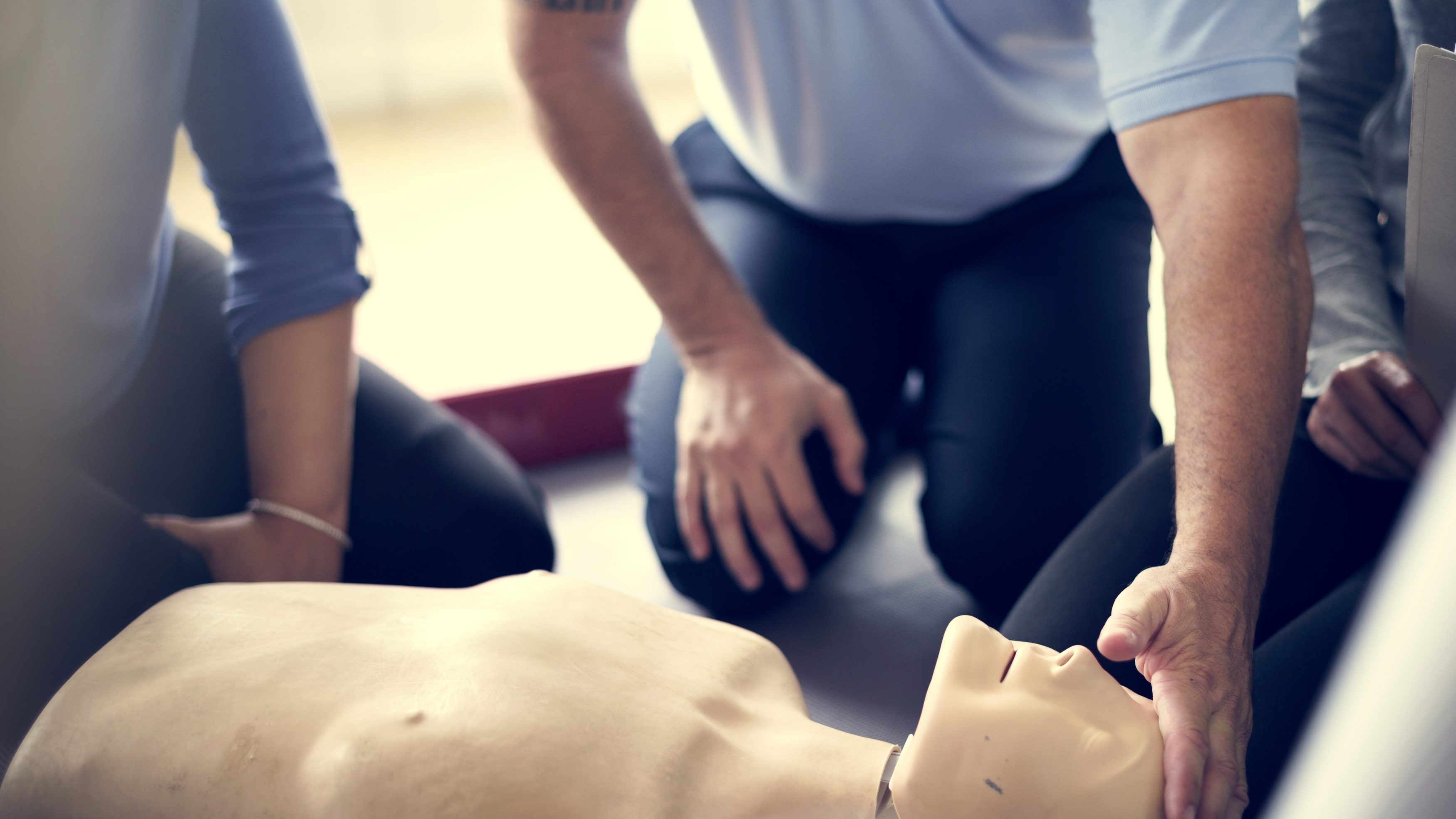 Image from rawpixel id 107070 jpeg