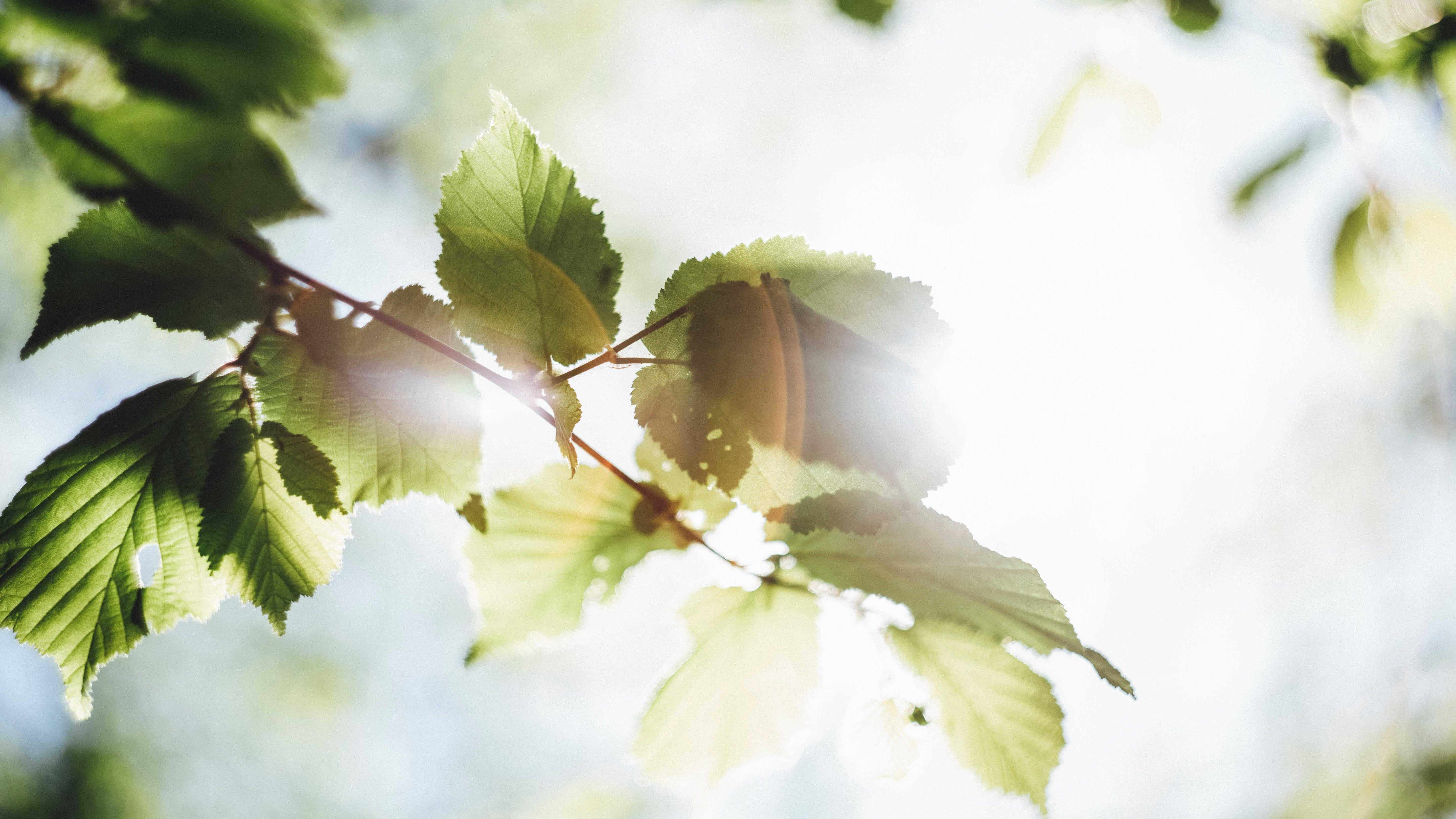 Markus spiske 6 MB j Bwte Ig unsplash