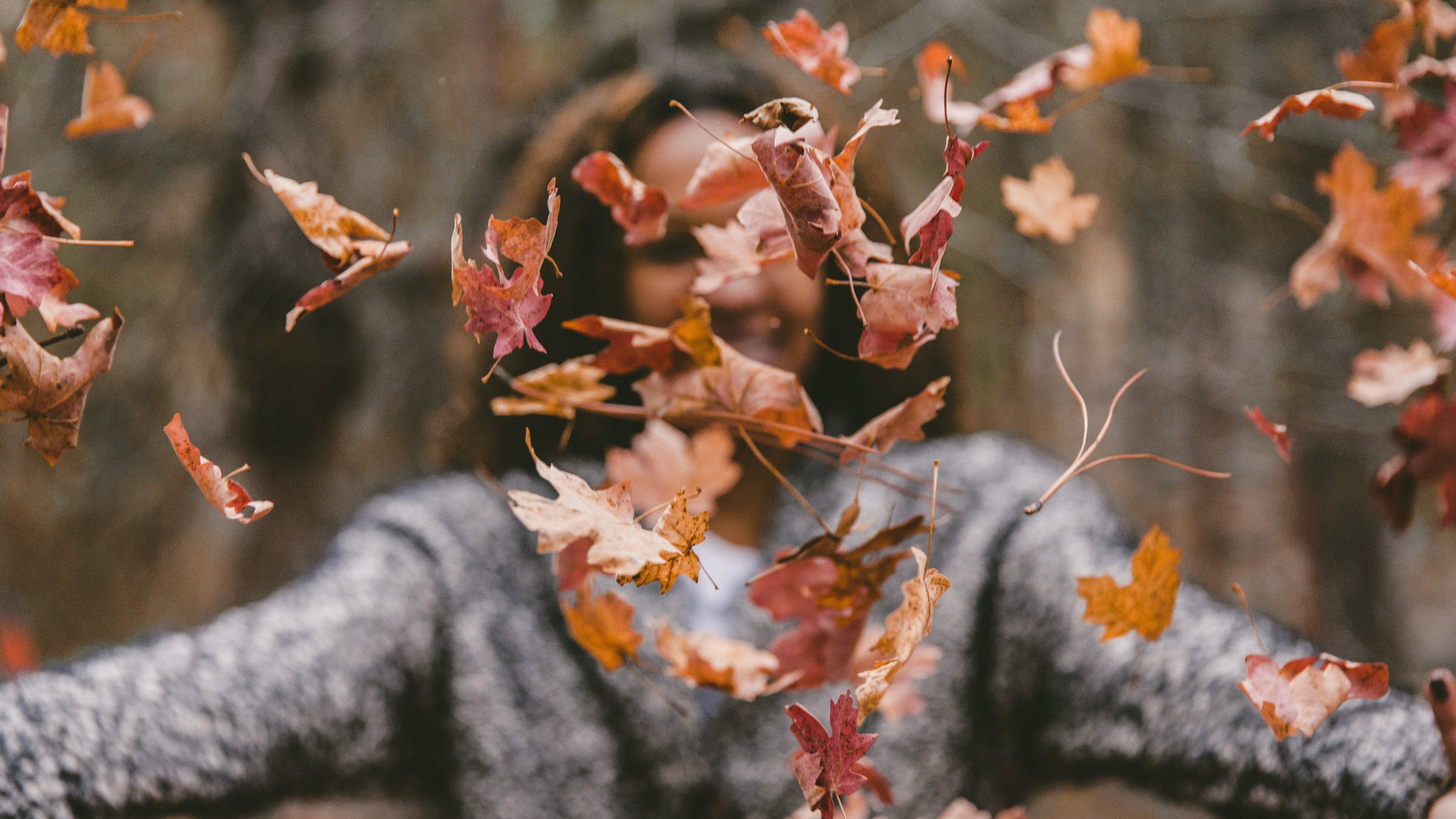 Fall Ue_N2I6-Trm