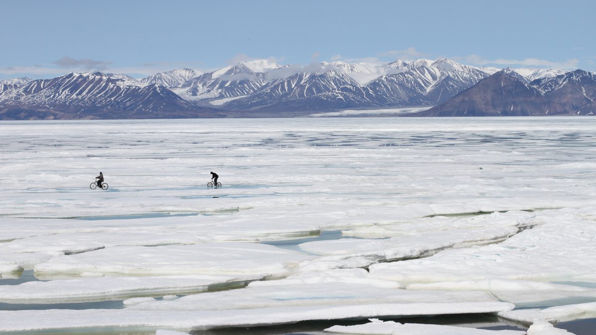 Ecosystemes nordiques