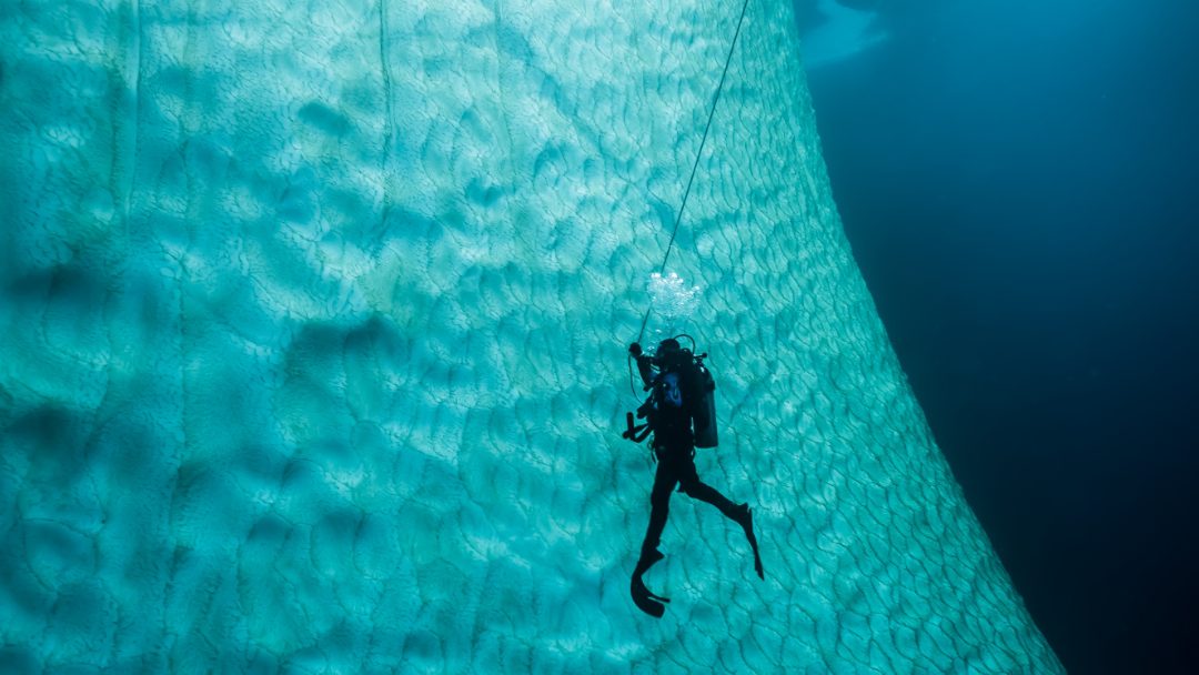 Nathalielasselin conf pointeiceberg