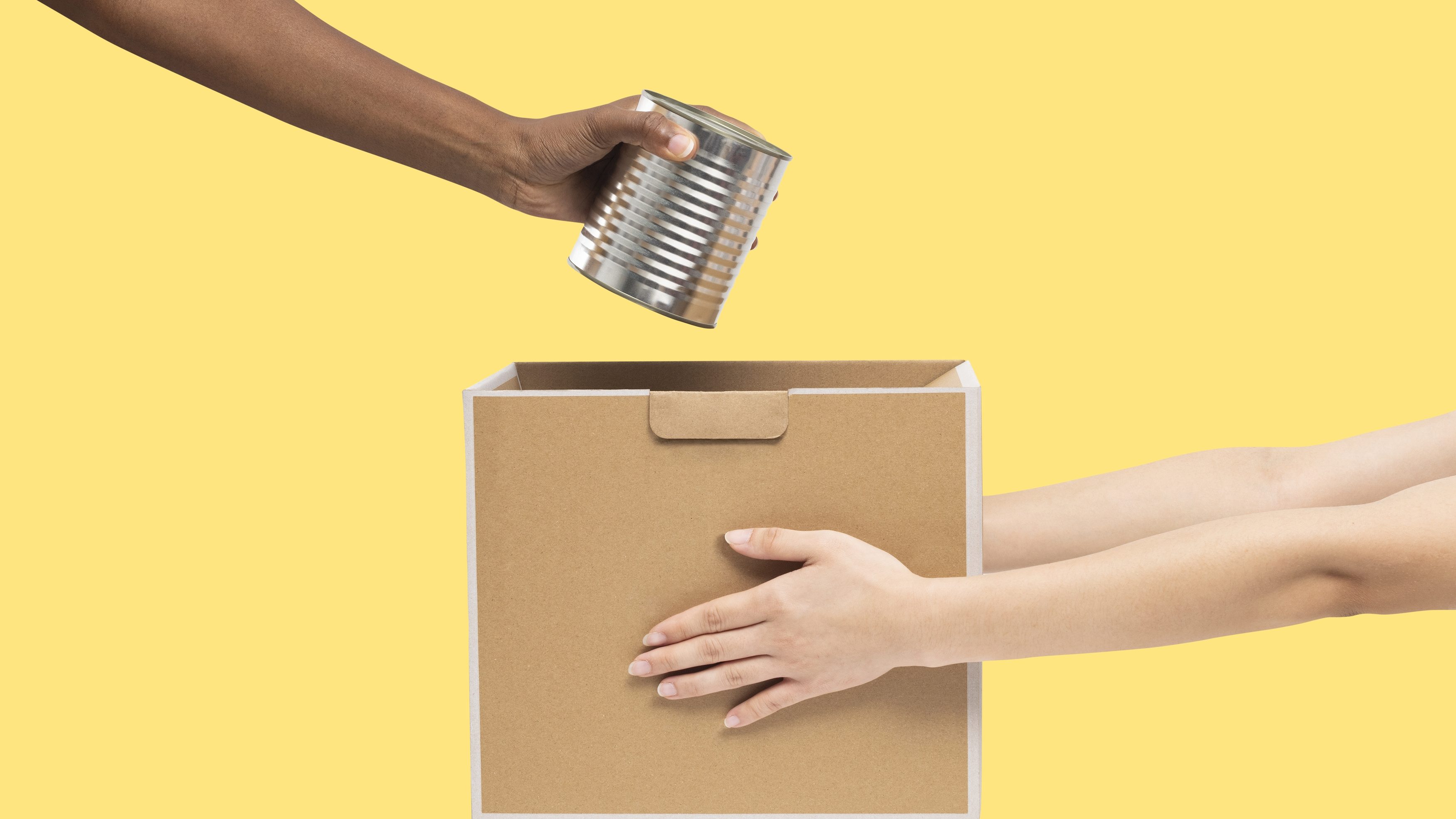 Image from rawpixel id 3808070 jpeg