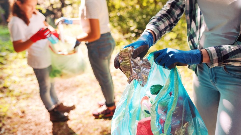 Shutterstock 2072455718