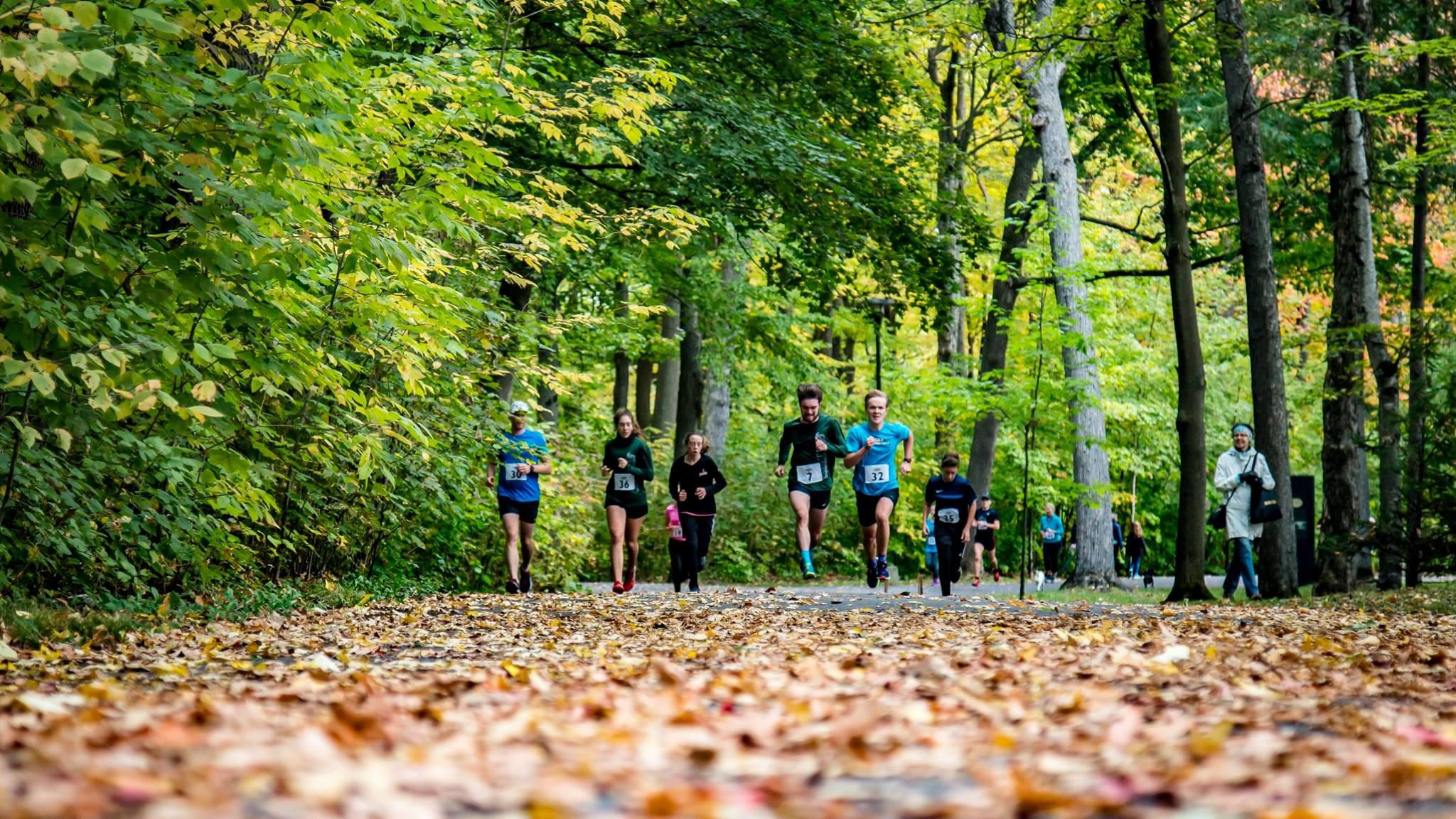 22791637 1180451262098701 4588506770154522660 o