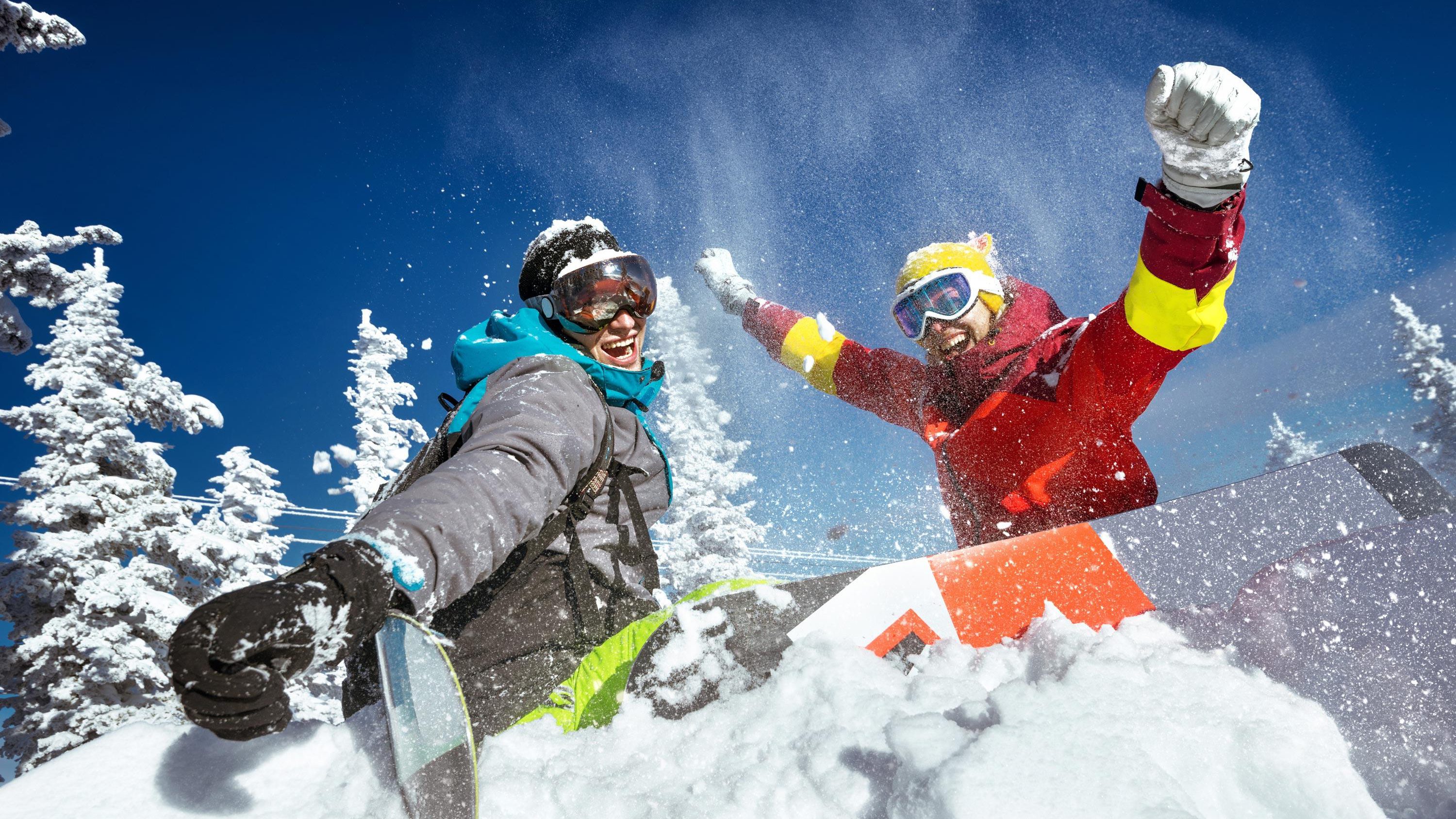 Shutterstock 510314566 v2