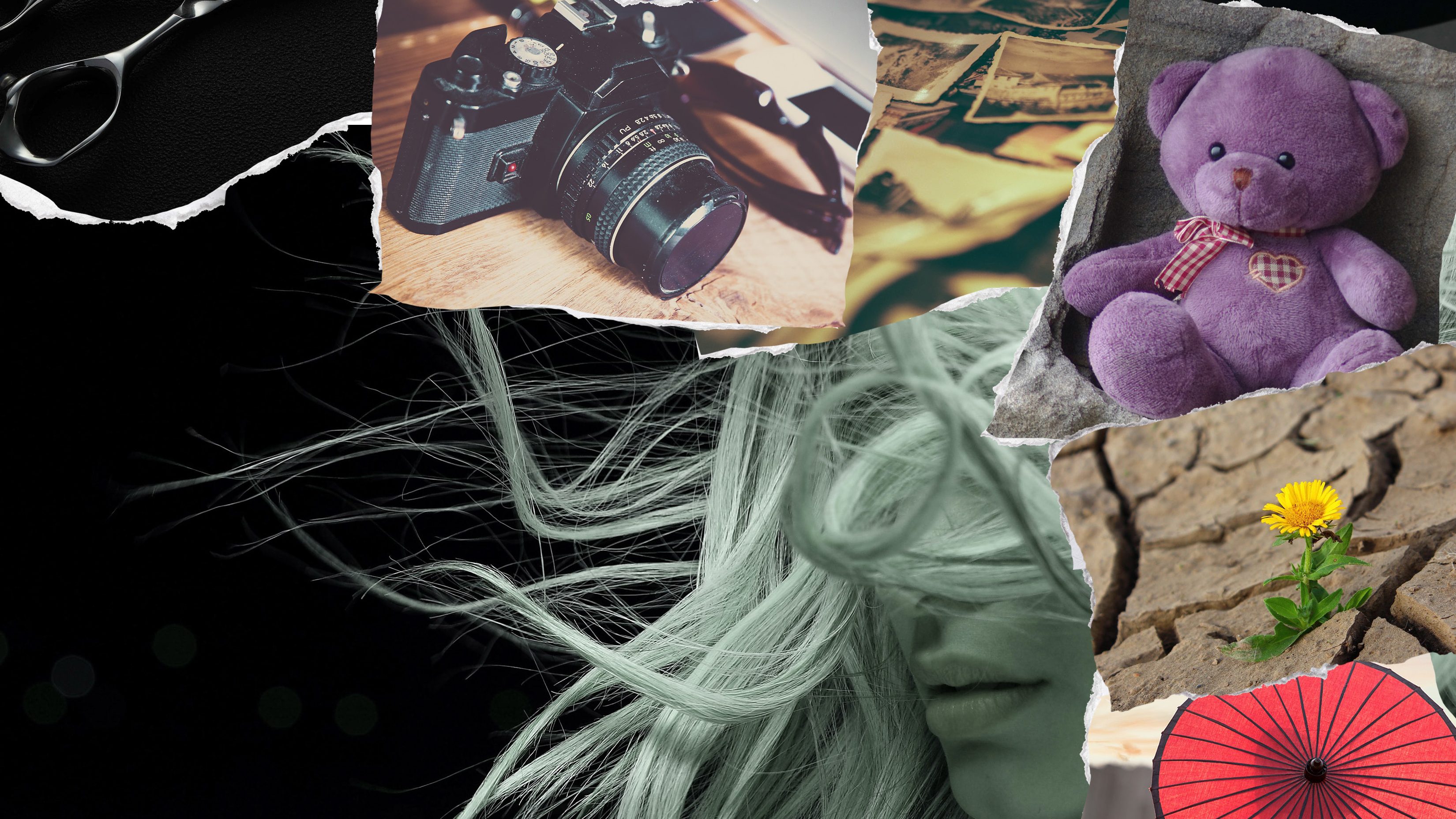 LE POIDS DES IMAGES Sans texte