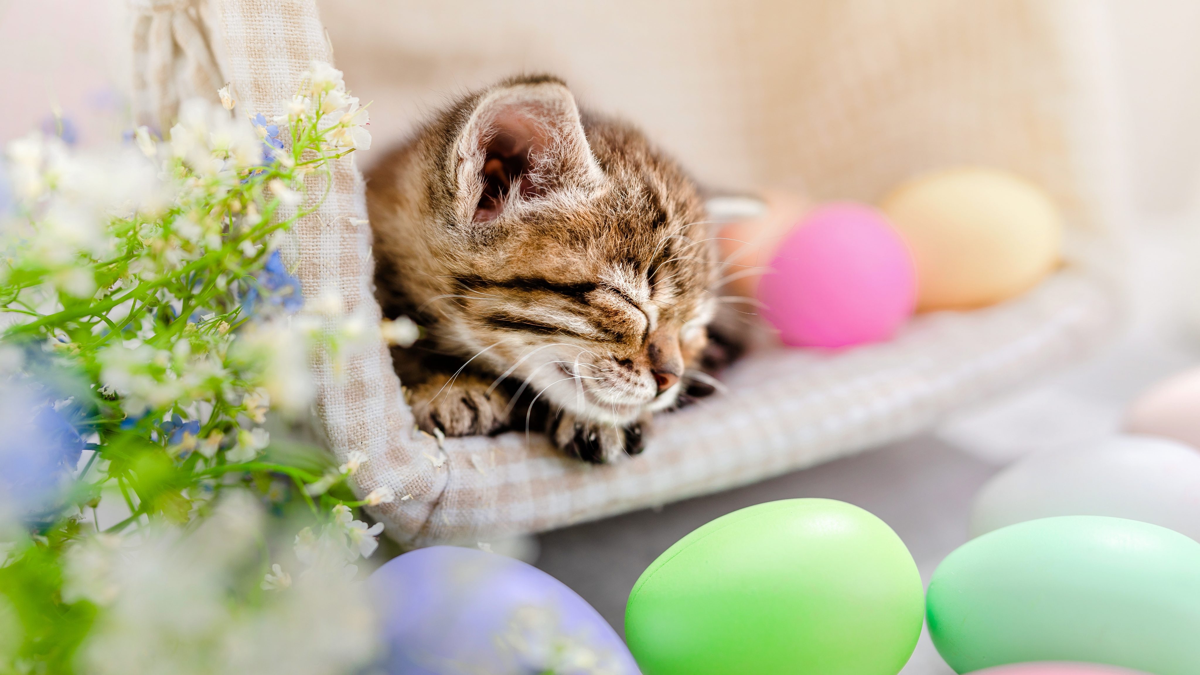 Shutterstock 2123222303