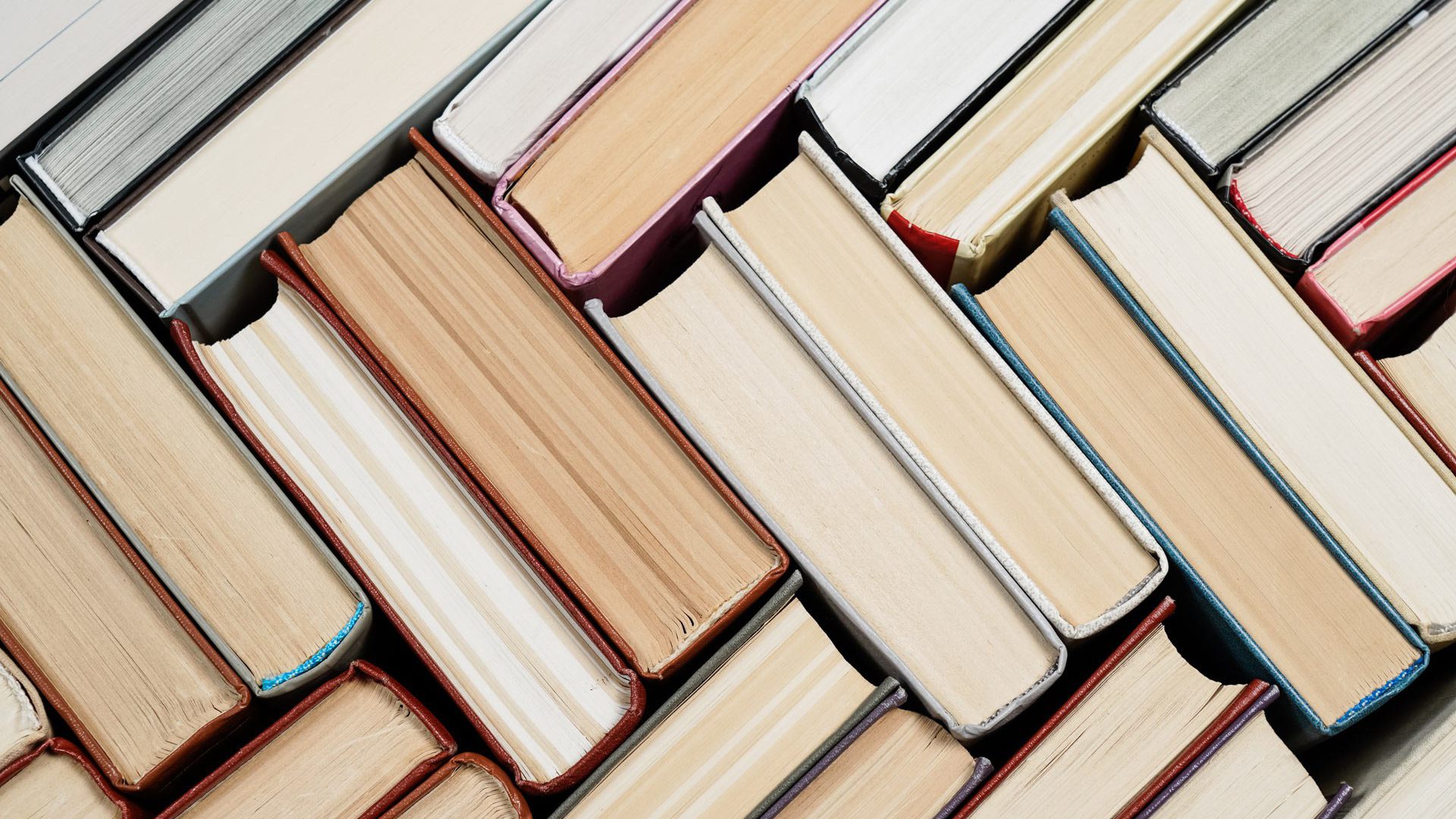 Shutterstock 1199012362