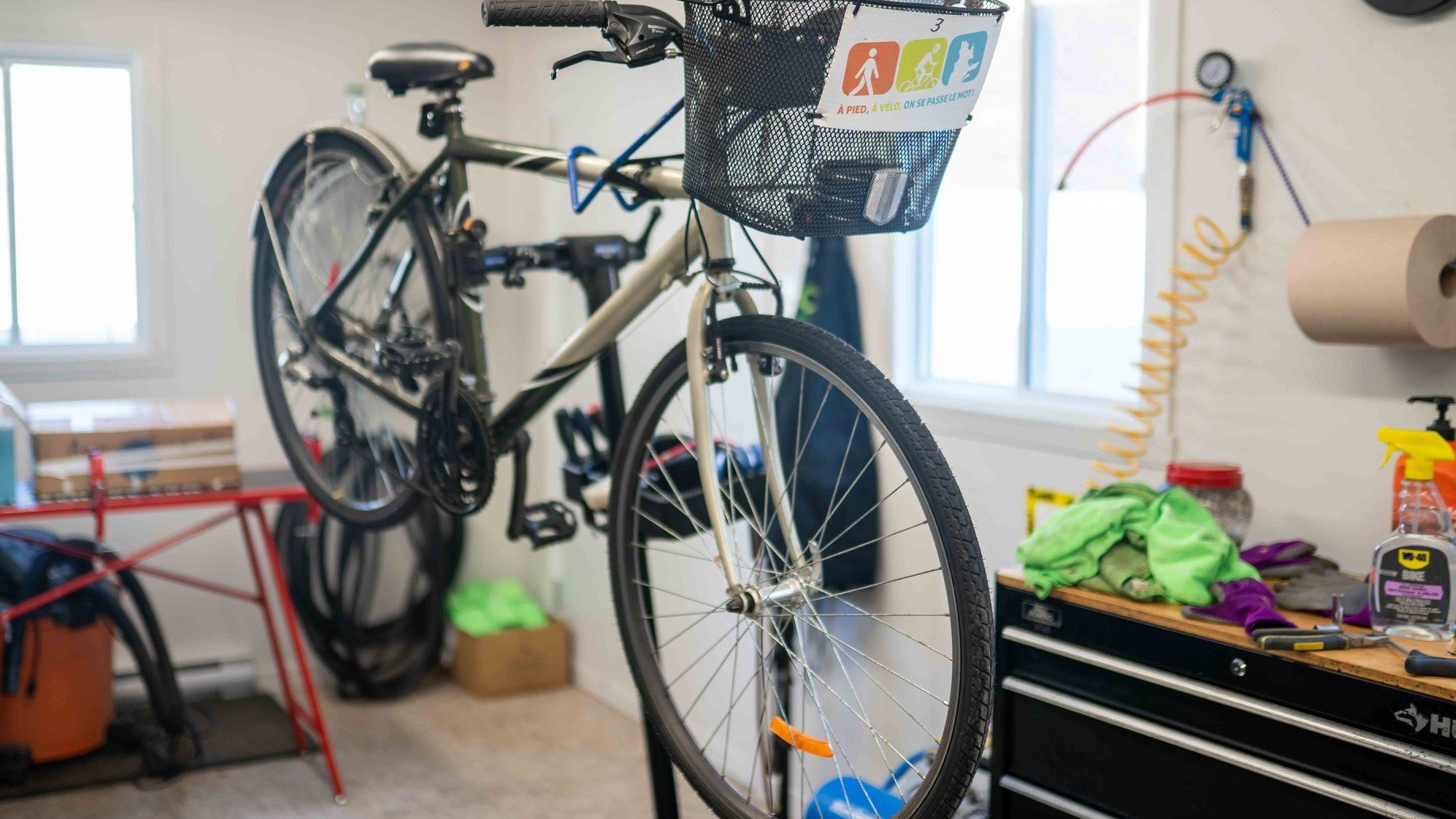 122491411 3776195512431857 3594037050168384059 o