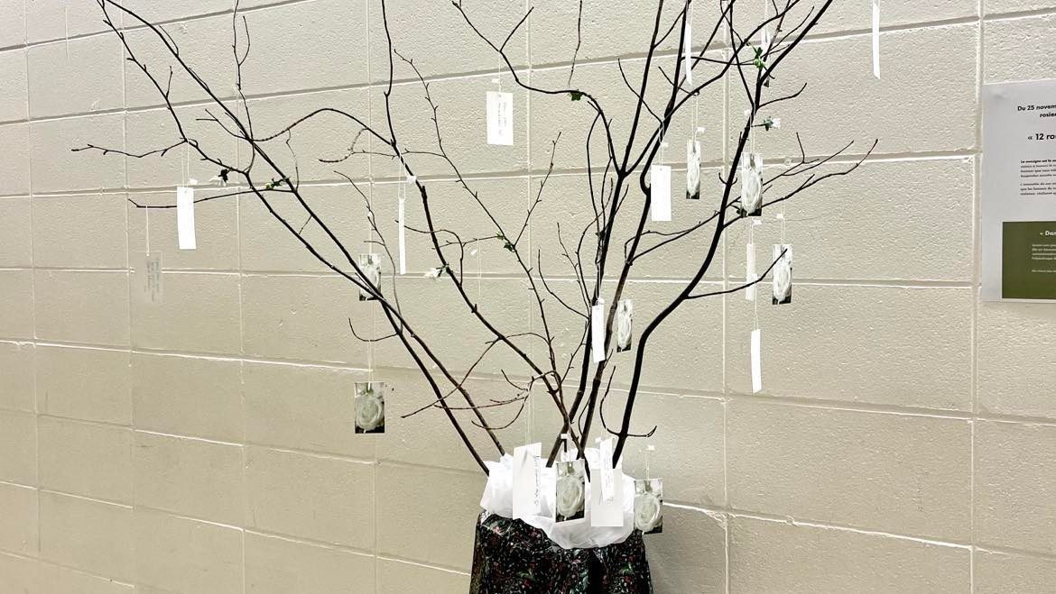 318221422 550345873178971 2152635565673109089 n