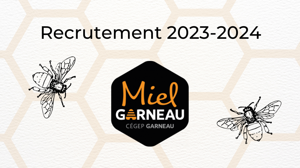 Recrutement MG