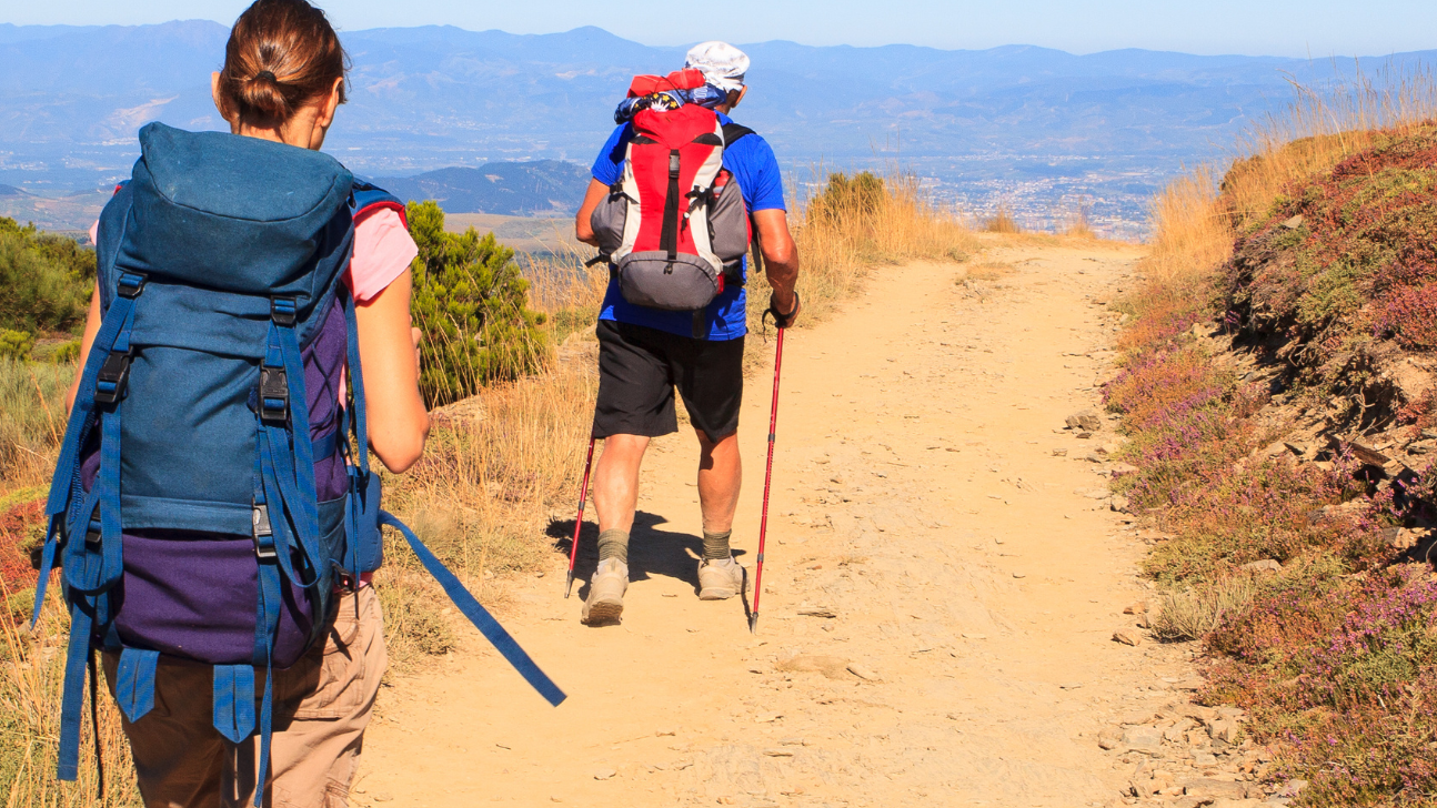 Affiche Saint Jacques sans texte