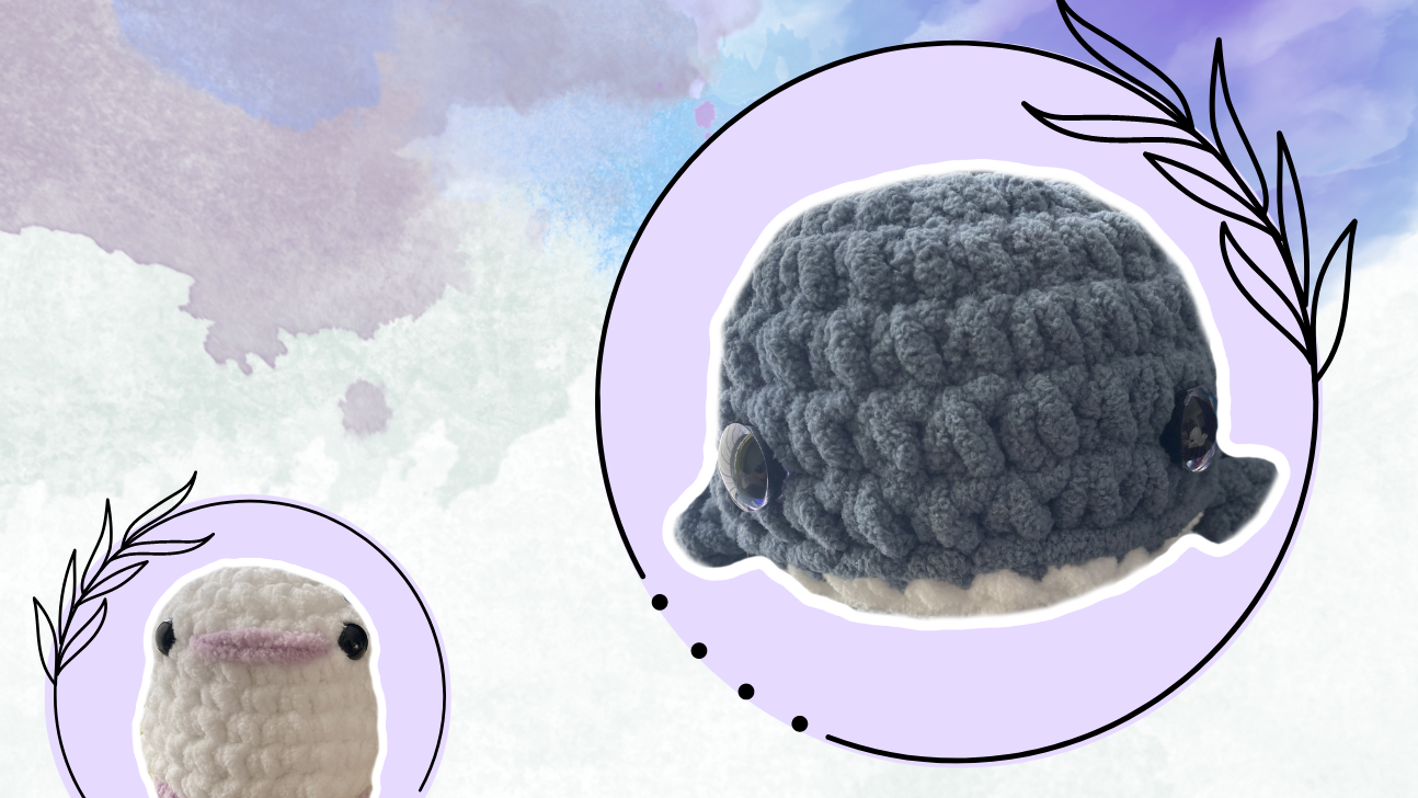 Affiche sans texte 11x17 Couleur