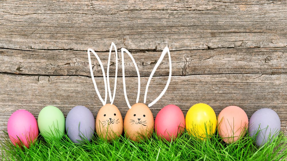 Shutterstock 565004161