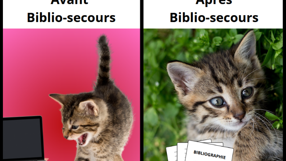 Biblio secours promo num