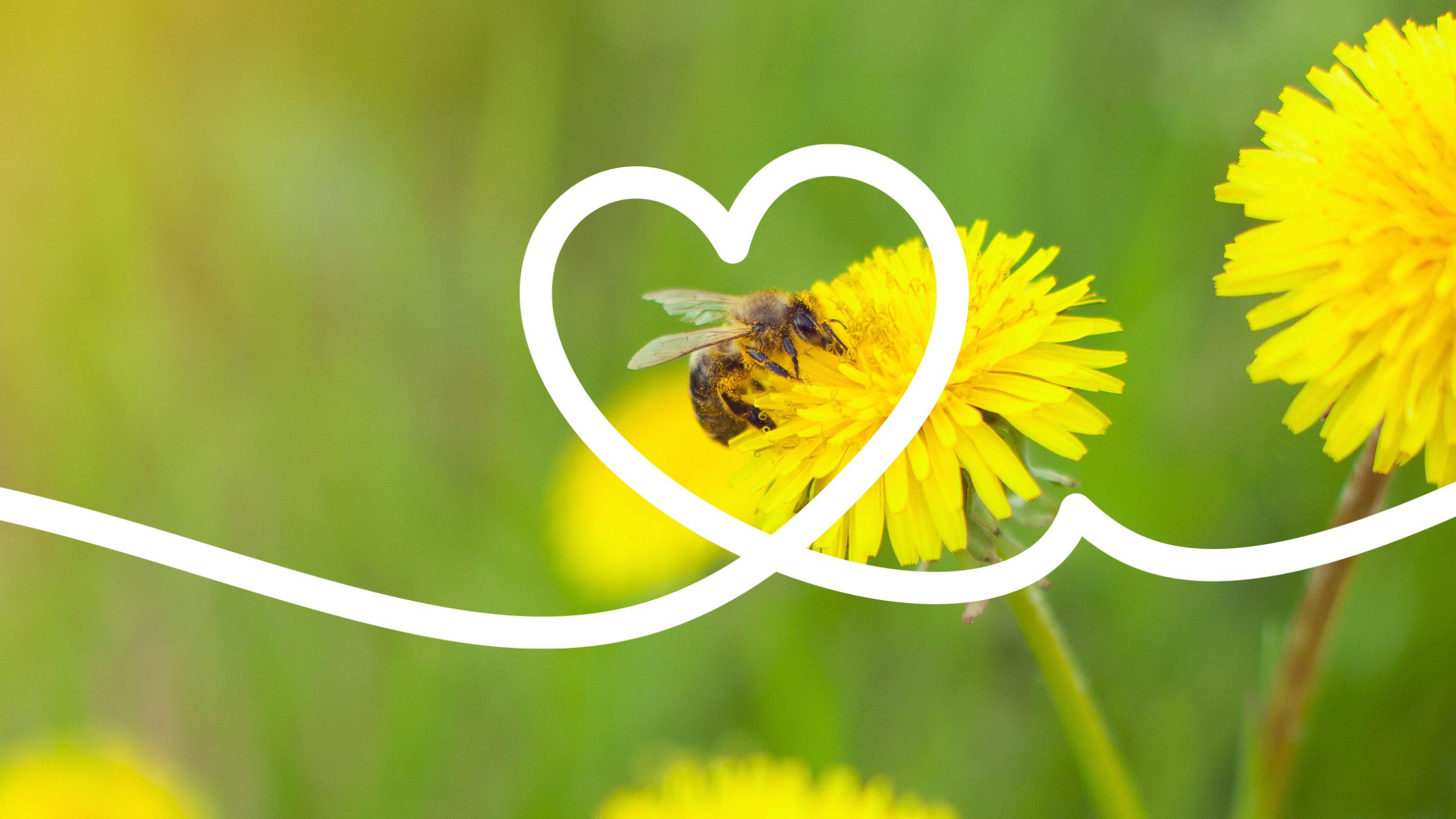 PG 15094 bandeau accueil mai tondeuse 2400x1335