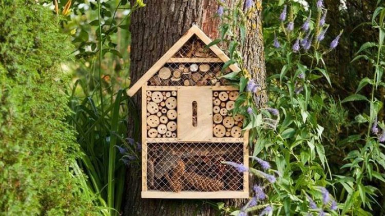 Hôtel à insectes