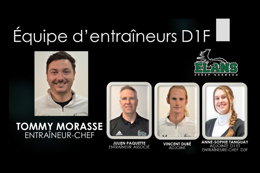 Volley Entraineurs