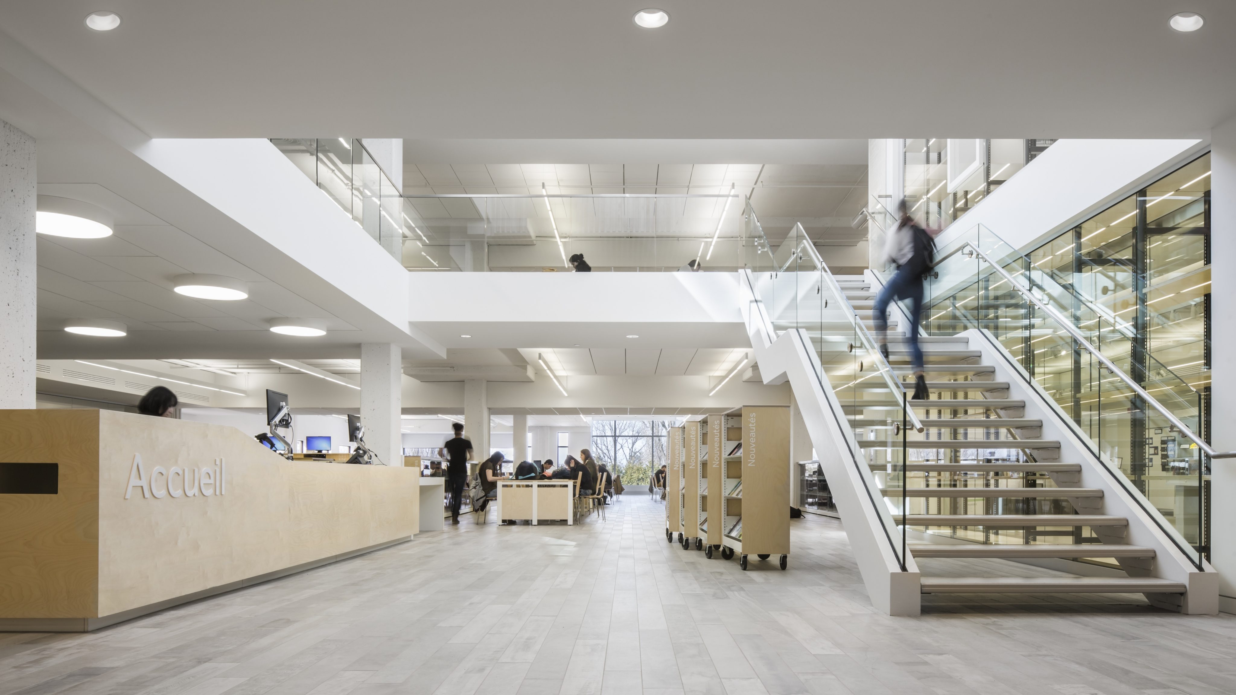 Bibliotheque Garneau Stephane Groleau 026