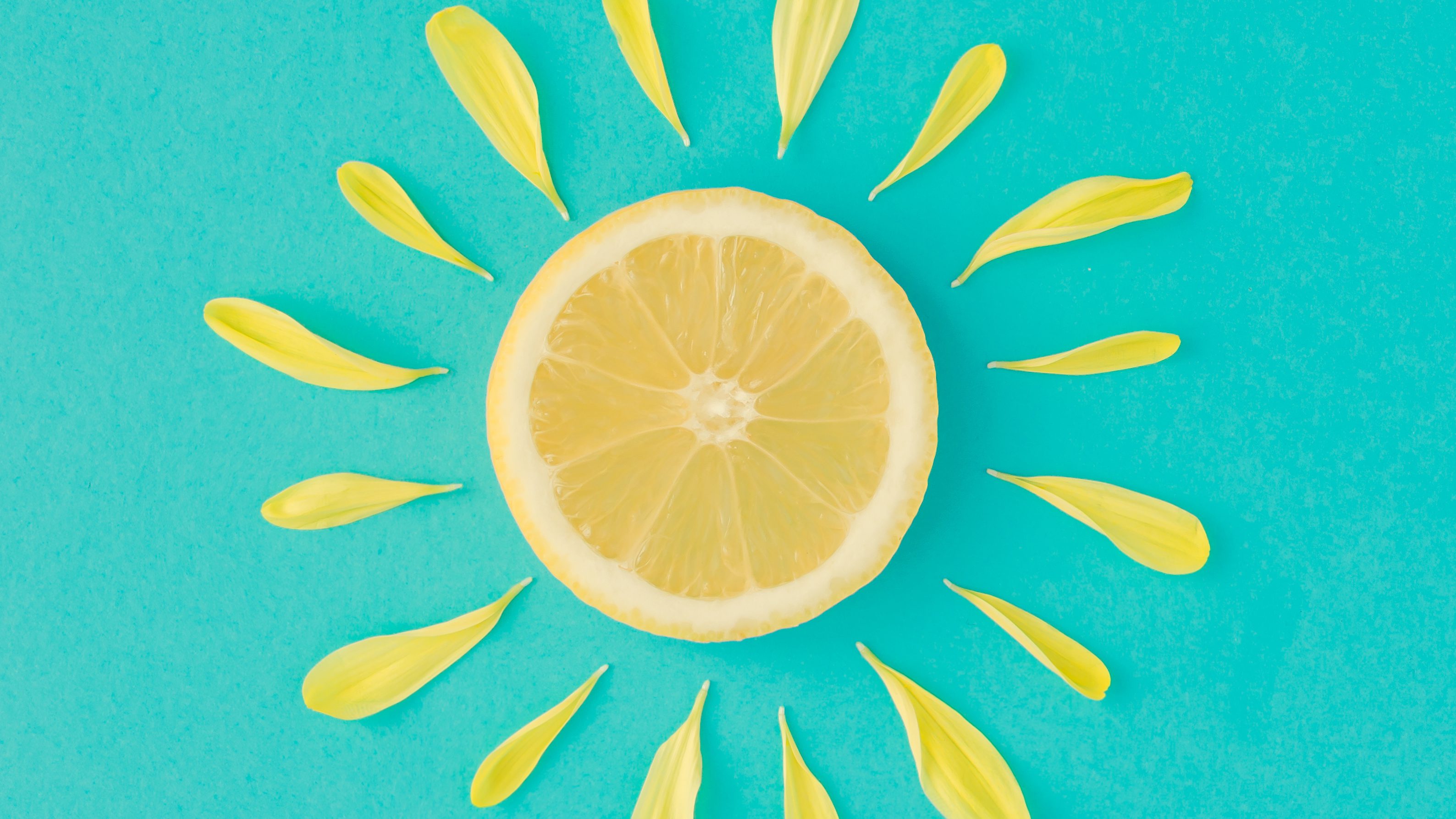 Shutterstock 1075822304