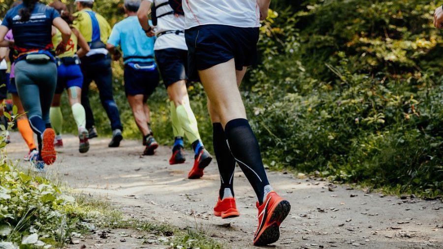 Shutterstock 710795653