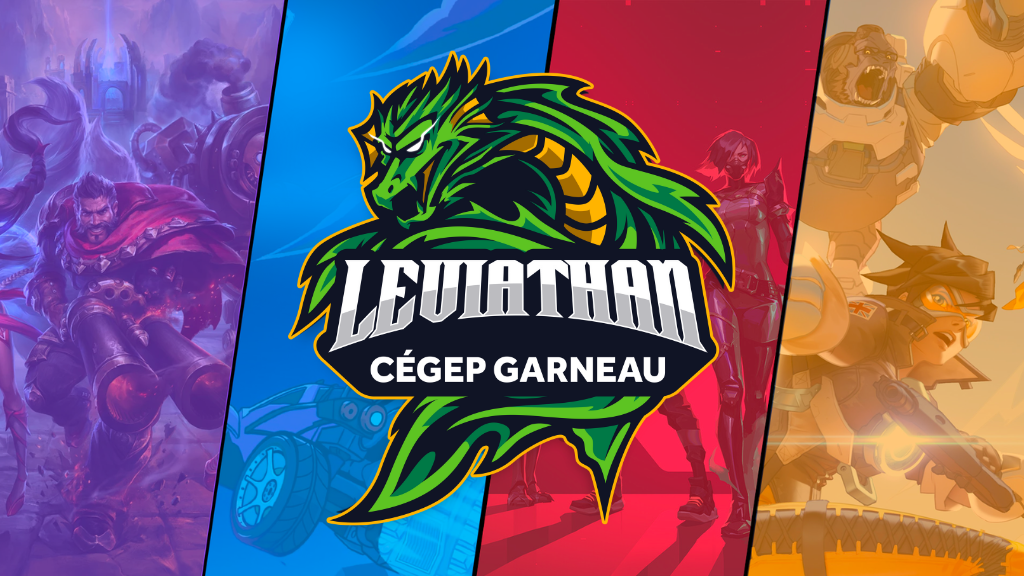 E sport recrutement flash