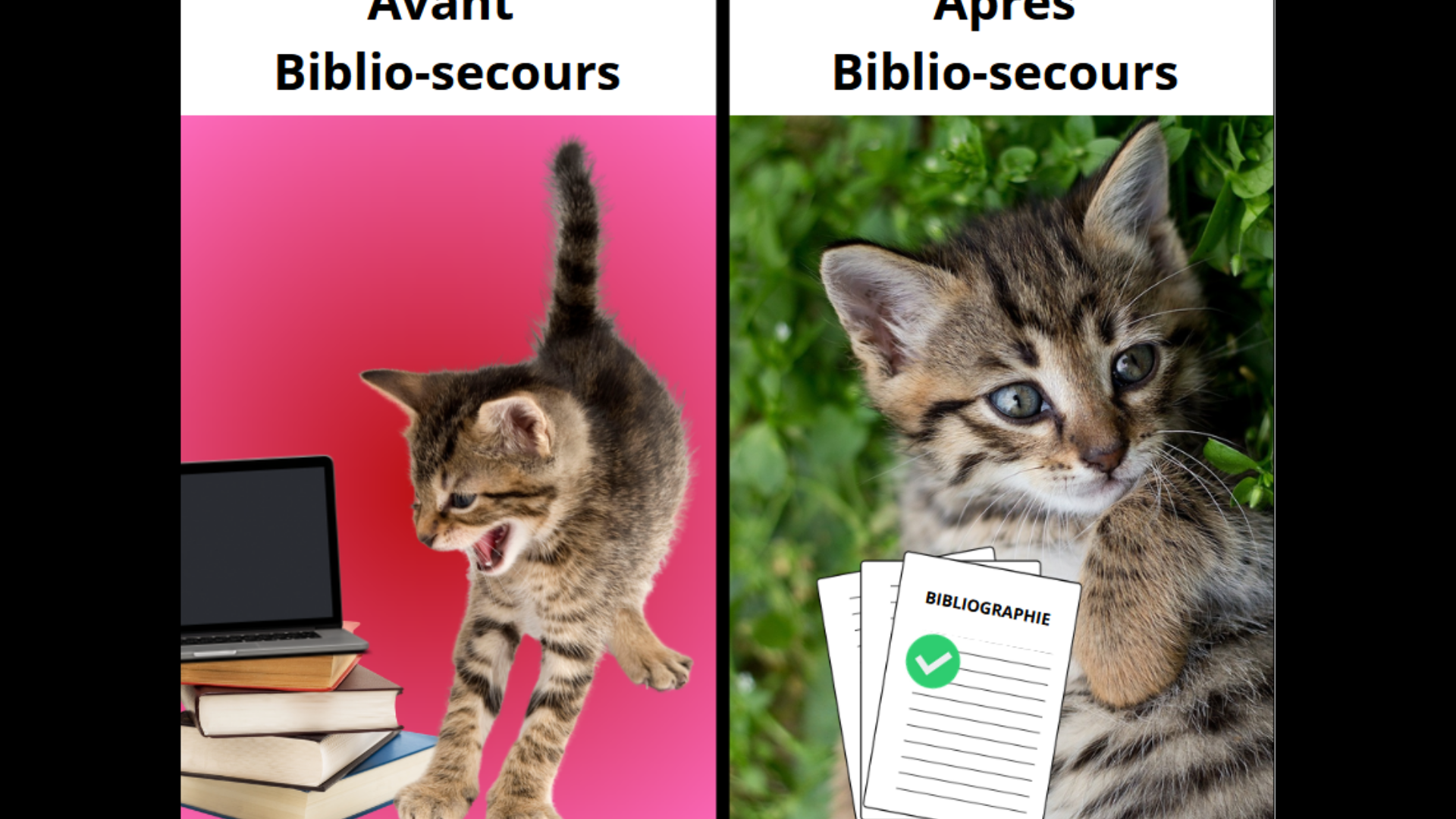 Biblio secours promo numérique 1920 1200 px