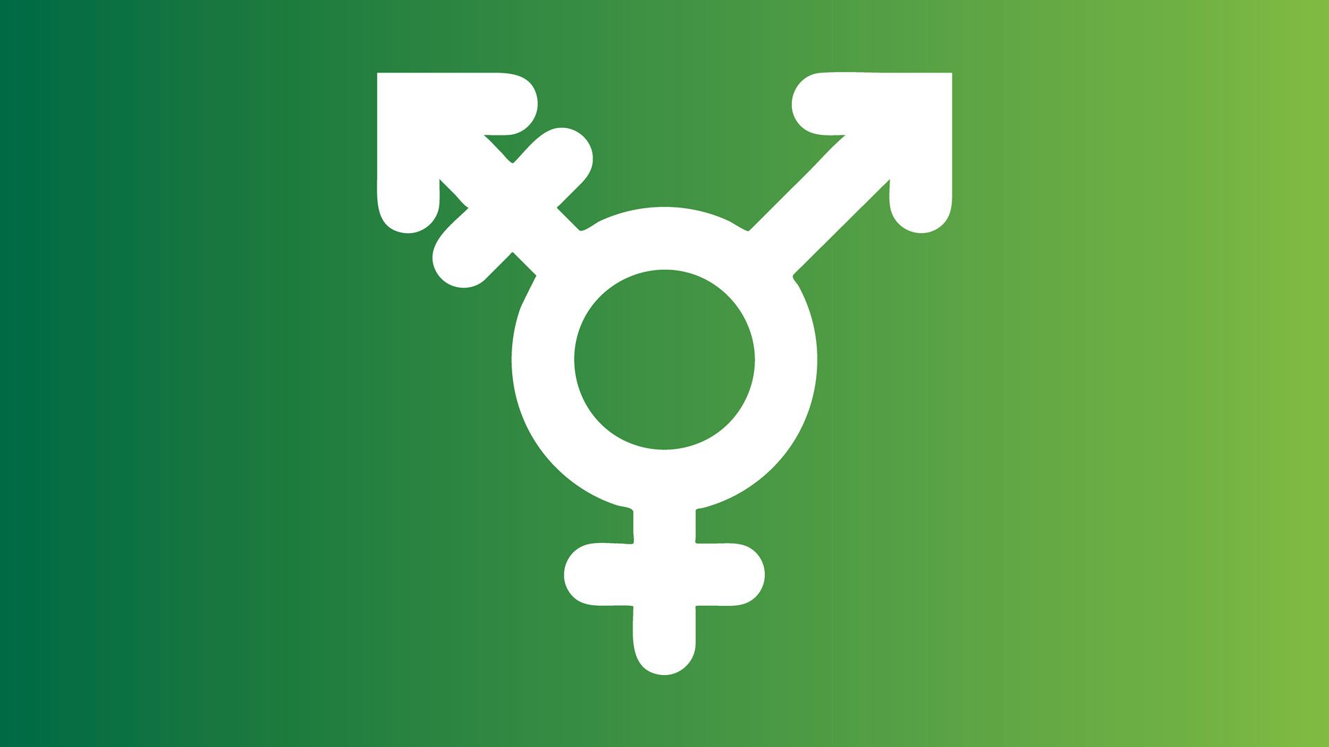 Flash Garneau Toilettes inclusives