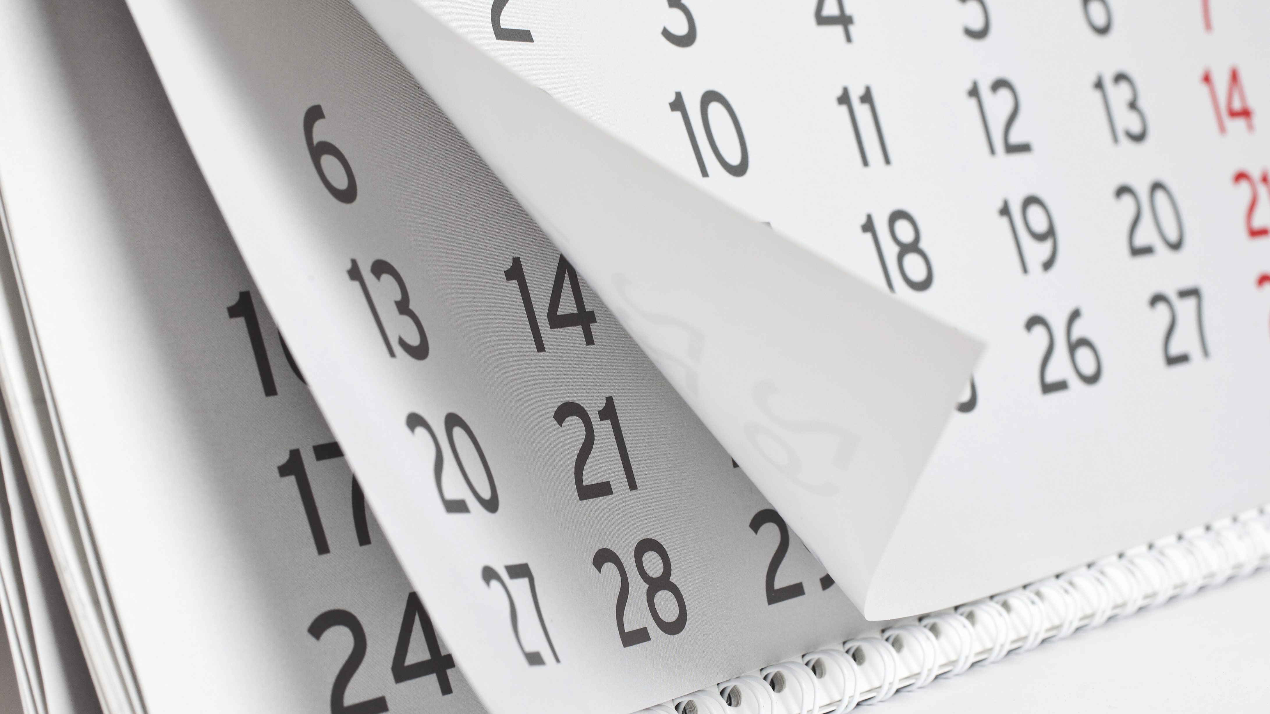 Shutterstock 125921537