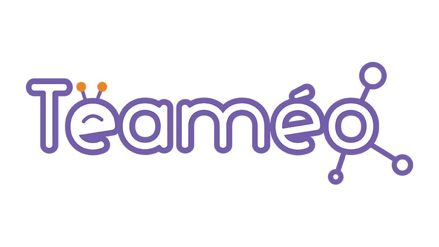 Logo TEAMEO