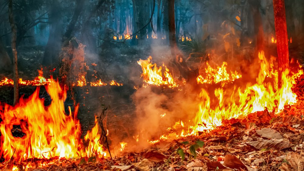 Shutterstock 1606758946